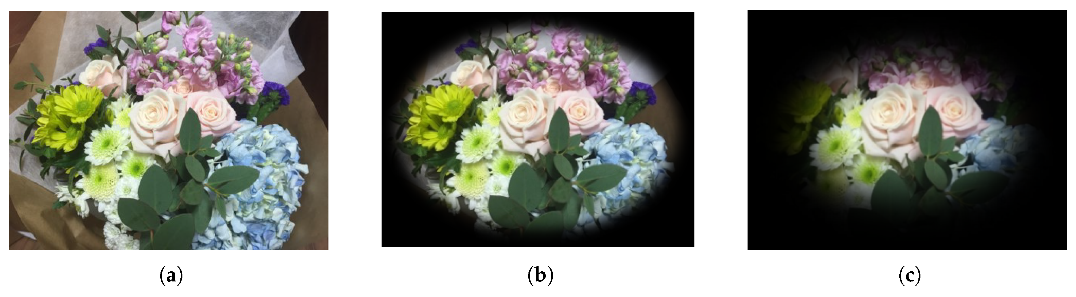 Applsci 09 03064 g001