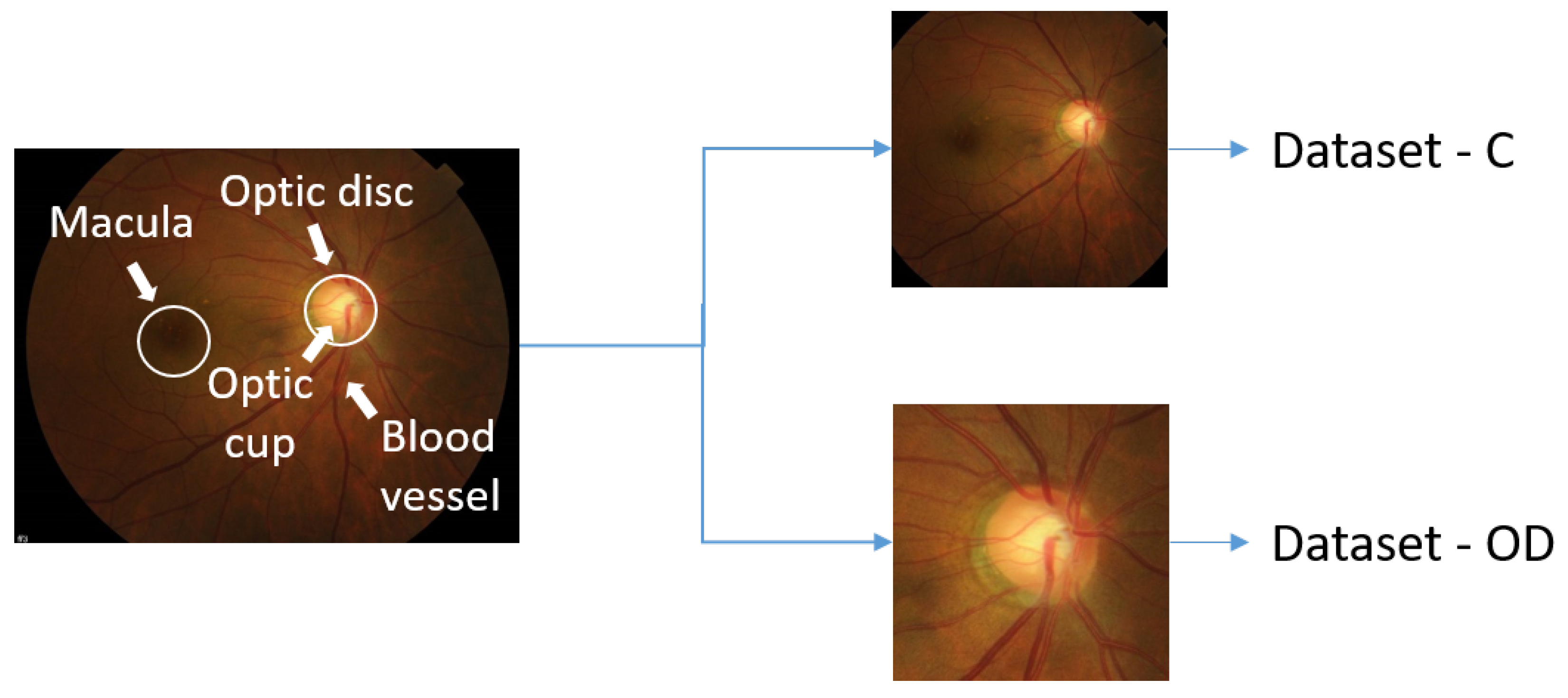 Applsci 09 03064 g002