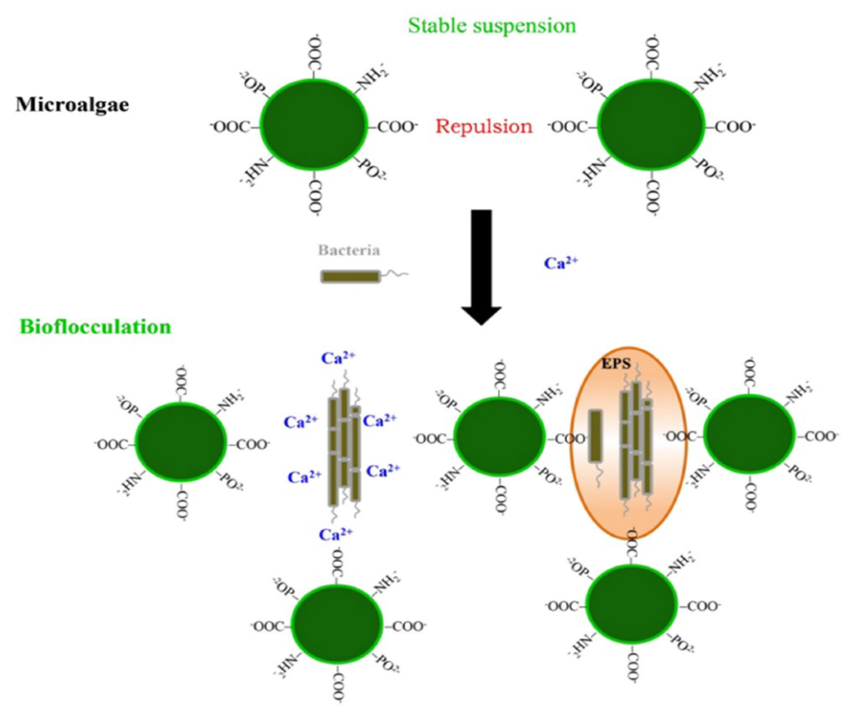 Applsci 09 03069 g003 Applsci 09 03069 g003