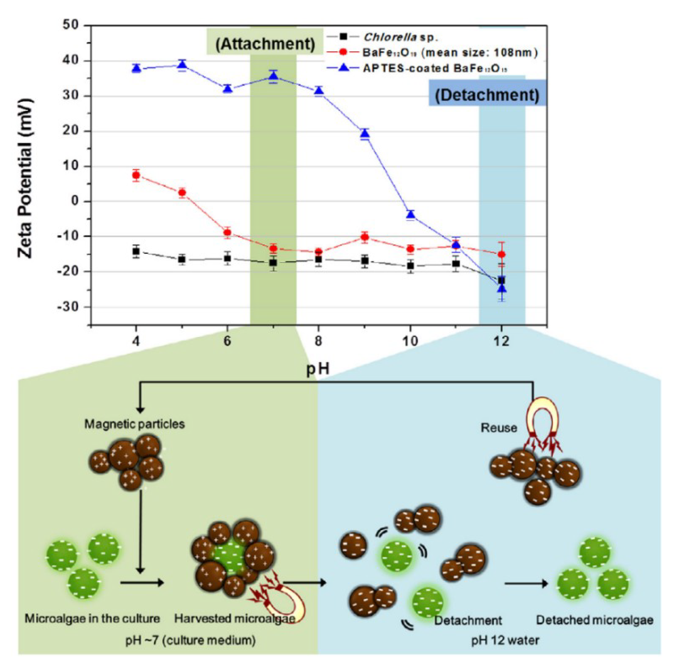 Applsci 09 03069 g005 Applsci 09 03069 g005