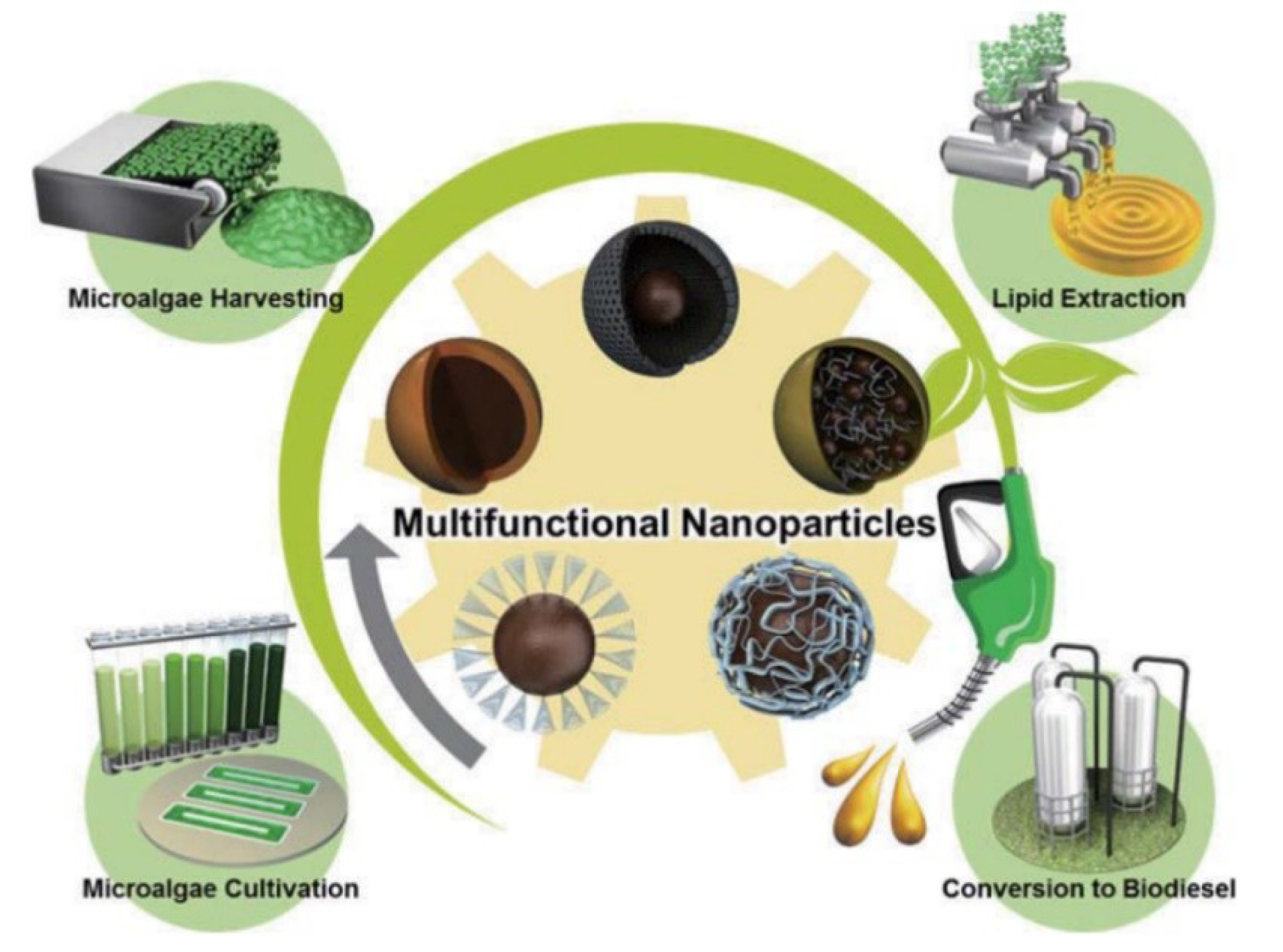 Applsci 09 03069 g006 Applsci 09 03069 g006