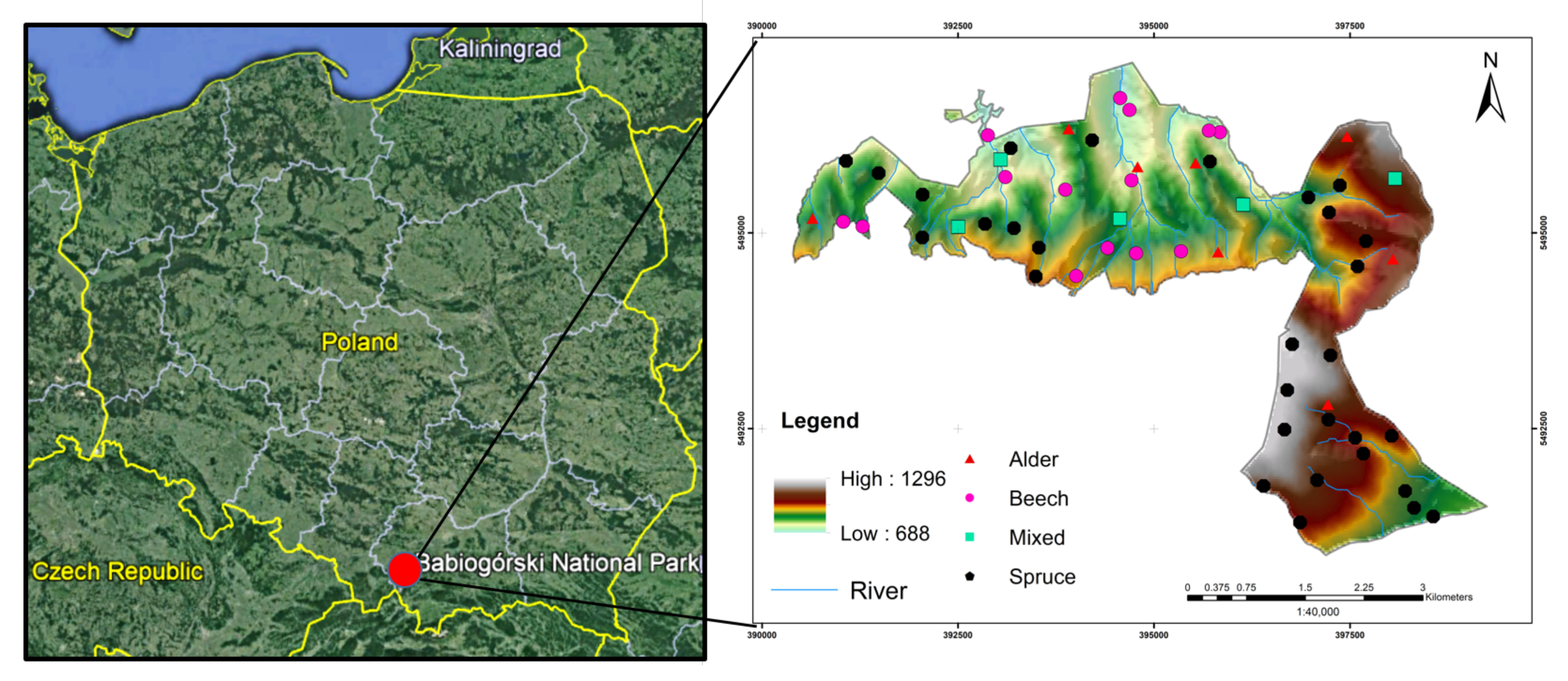 Applsci 09 03070 g001 Applsci 09 03070 g001