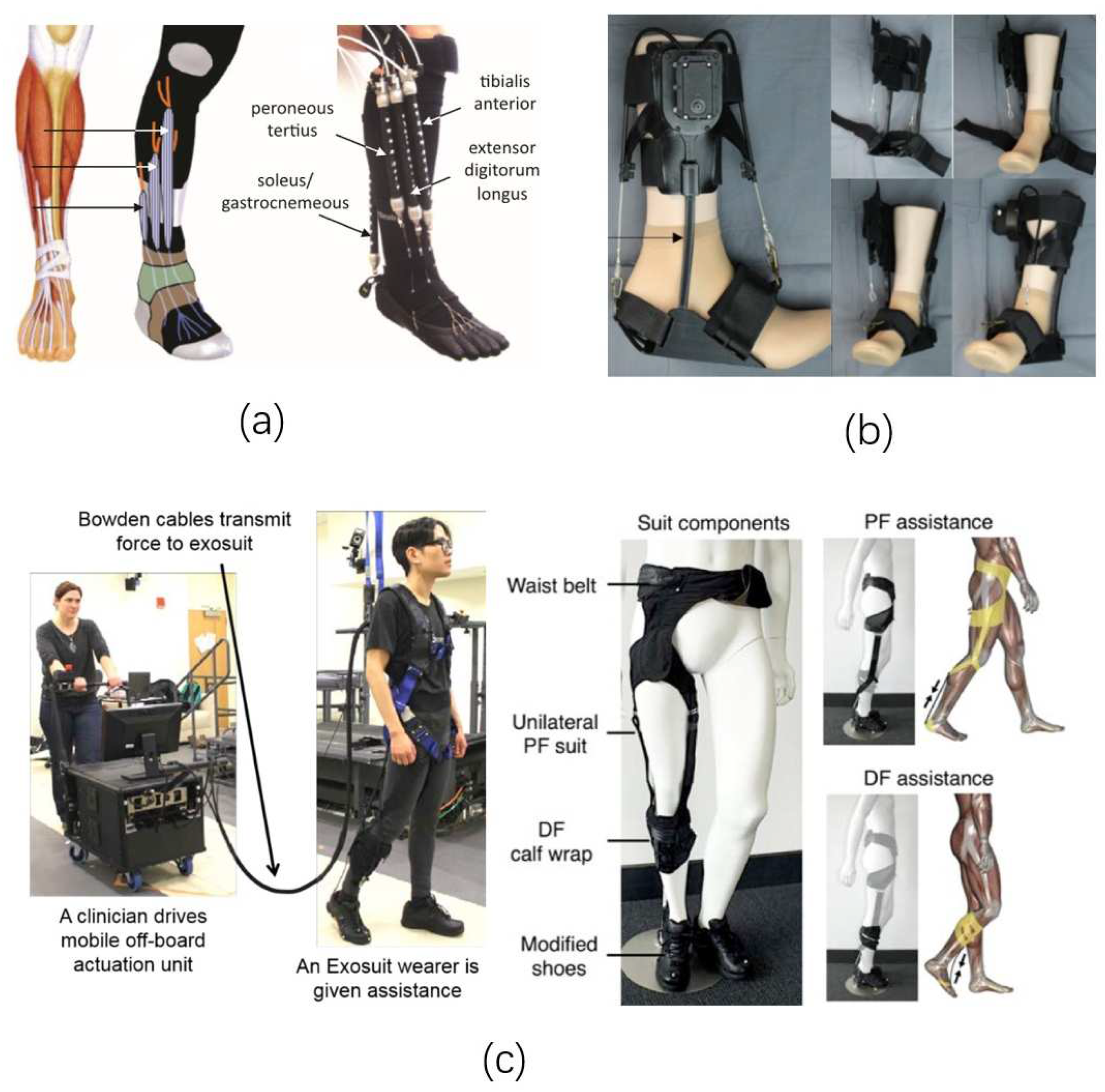 Applsci 09 03102 g002 Applsci 09 03102 g002