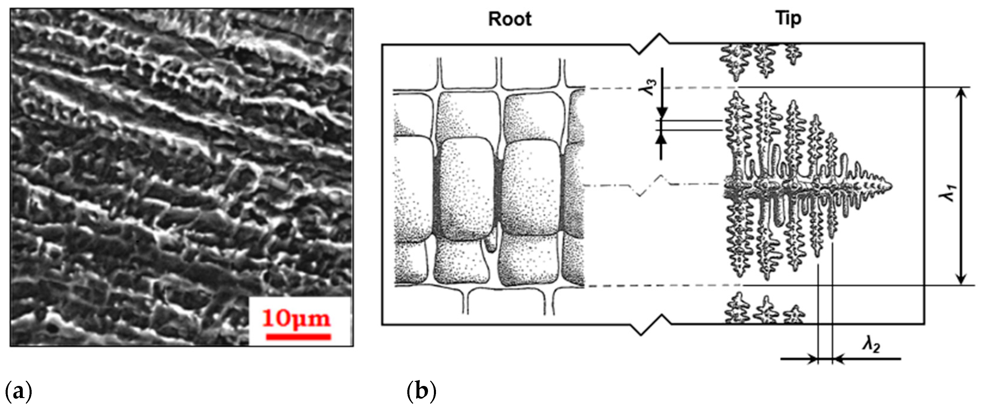 Applsci 09 03118 g008 Applsci 09 03118 g008