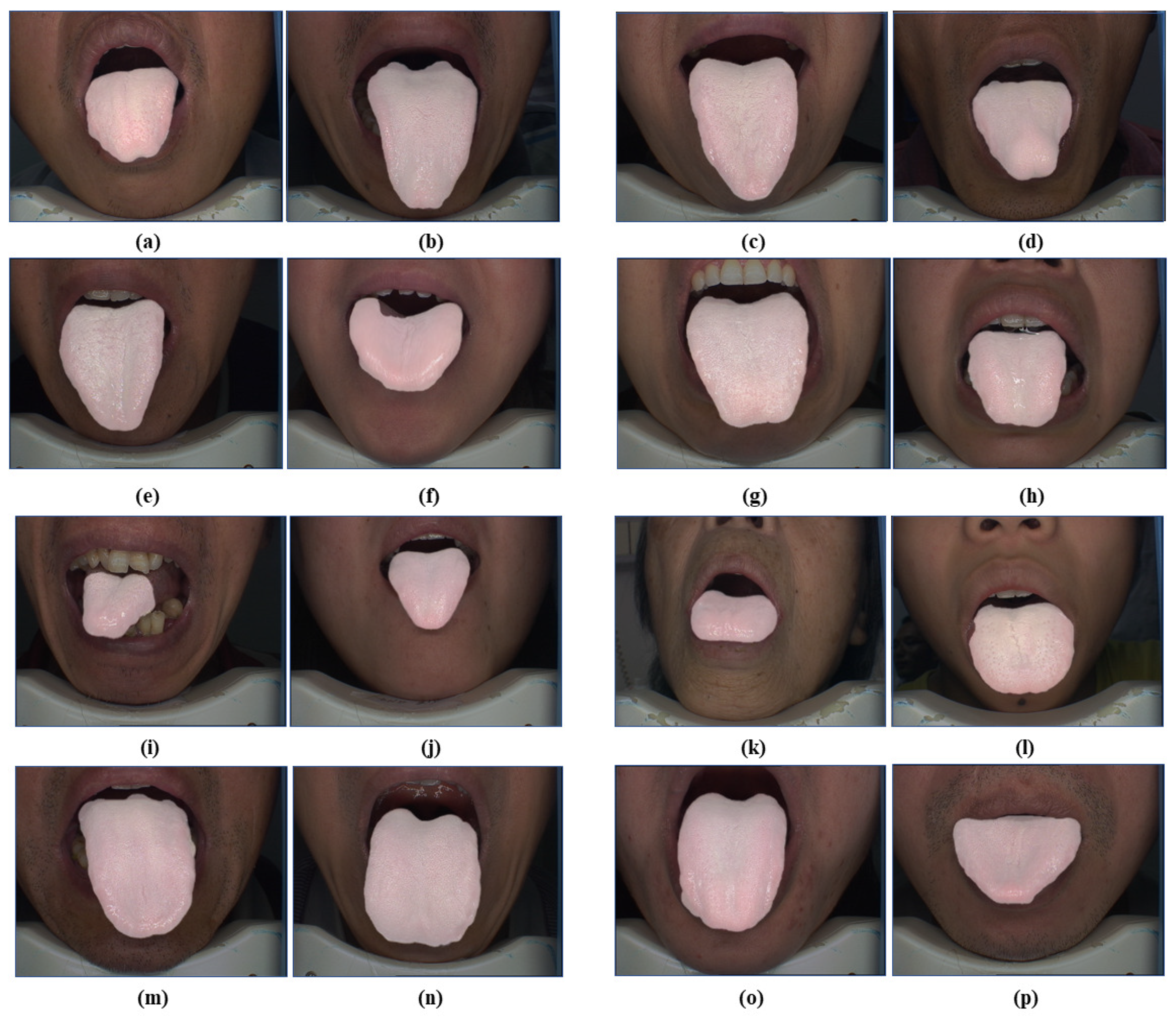 Applsci 09 03128 g010