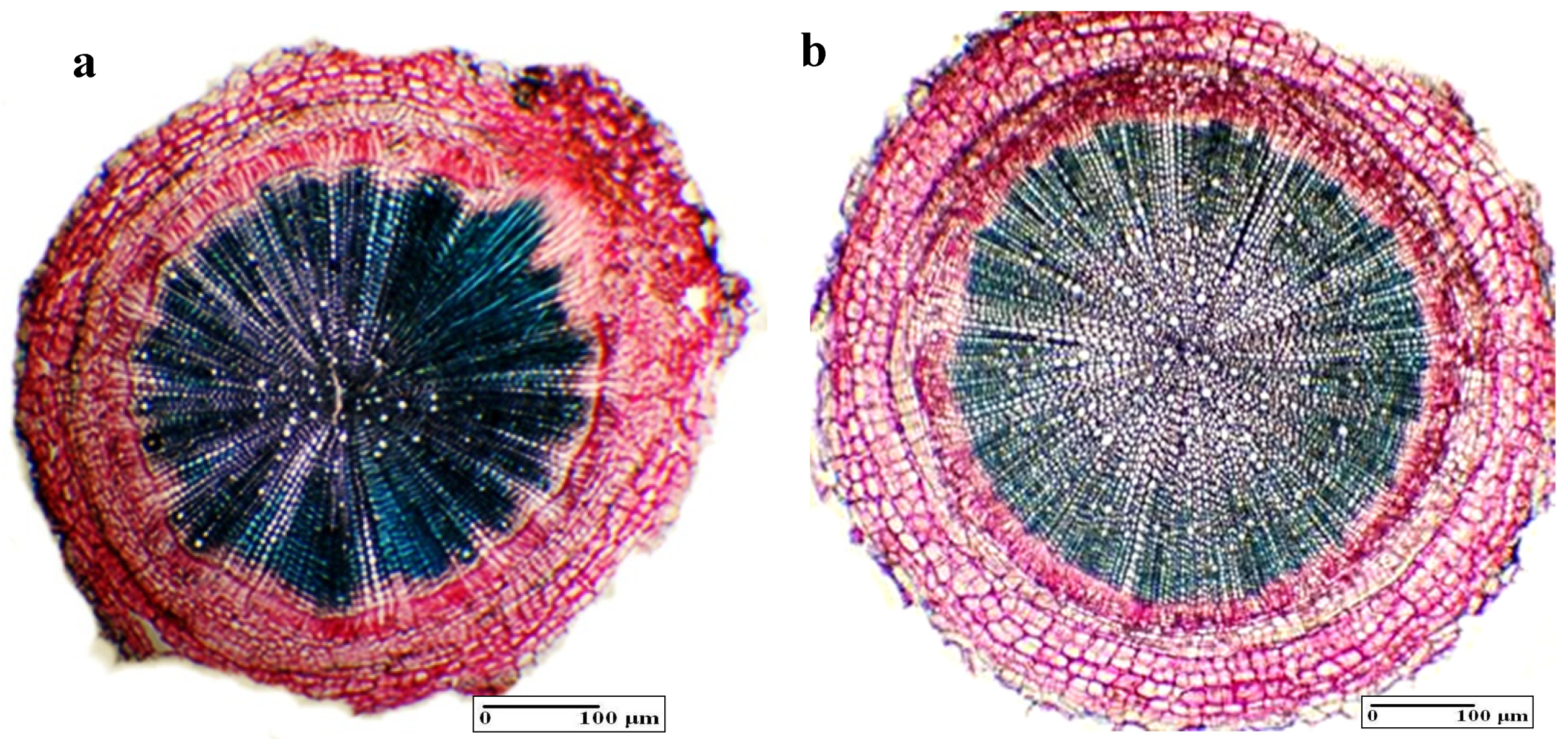 Applsci 09 03148 g004 550
