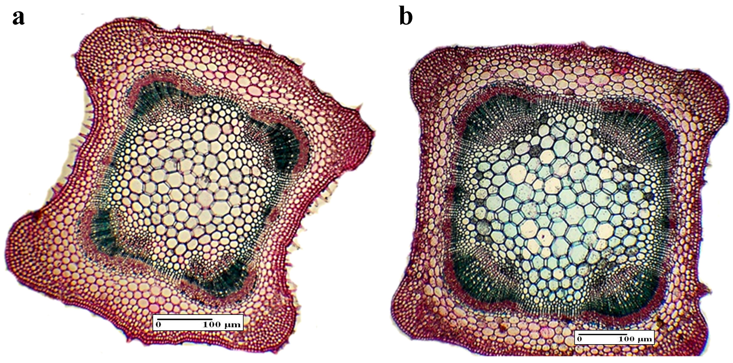 Applsci 09 03148 g005 550