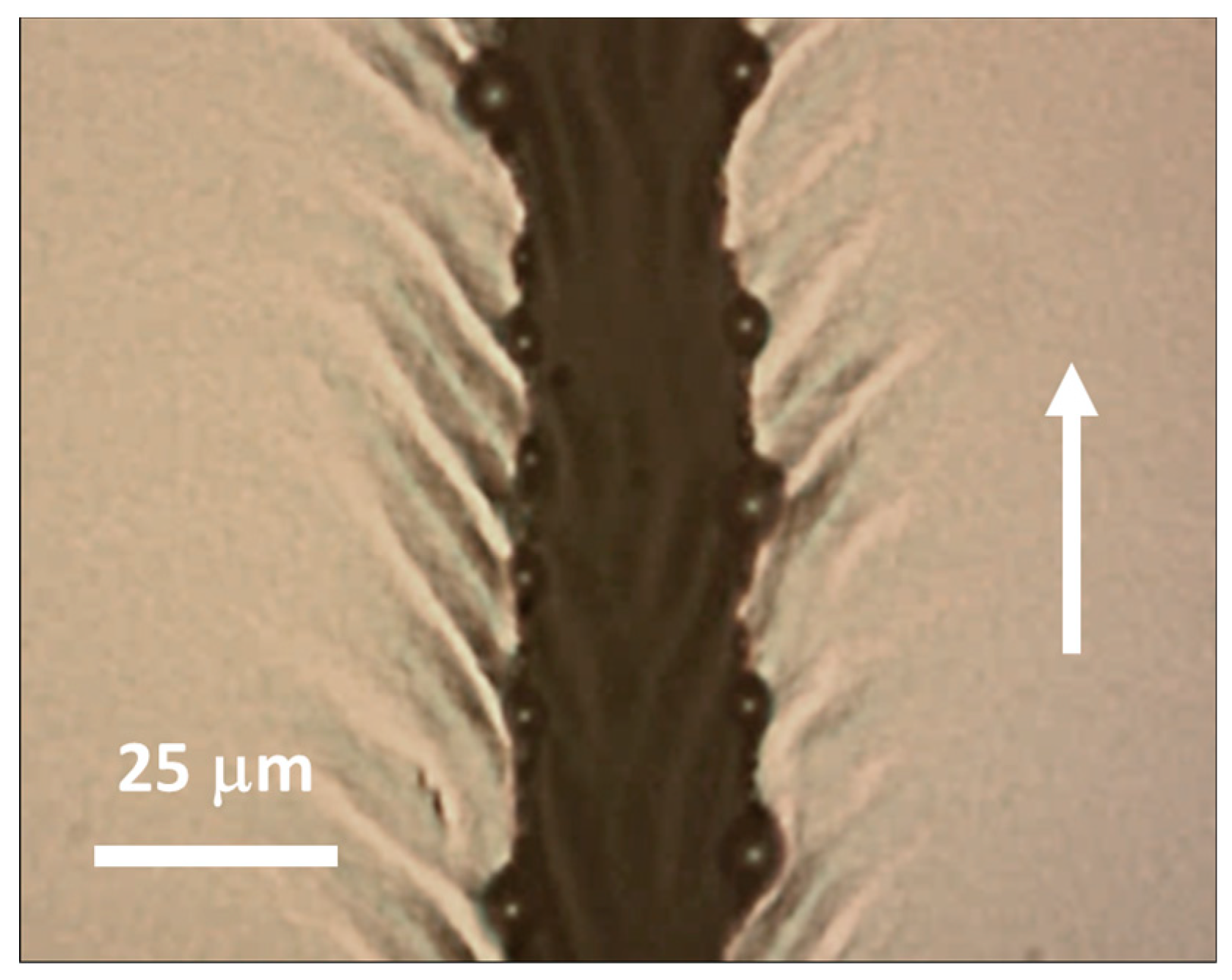 Applsci 09 03165 g005