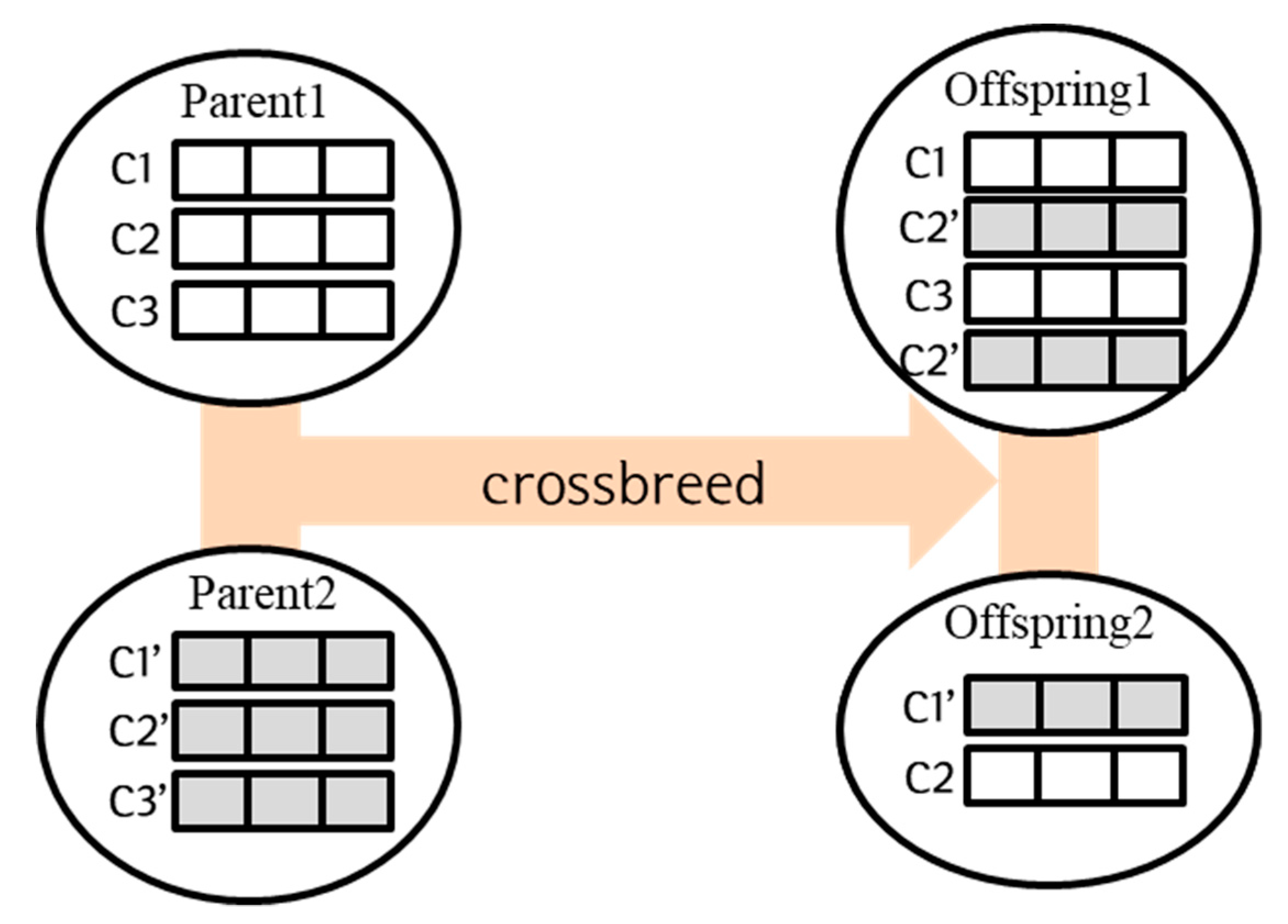 Applsci 09 03176 g005