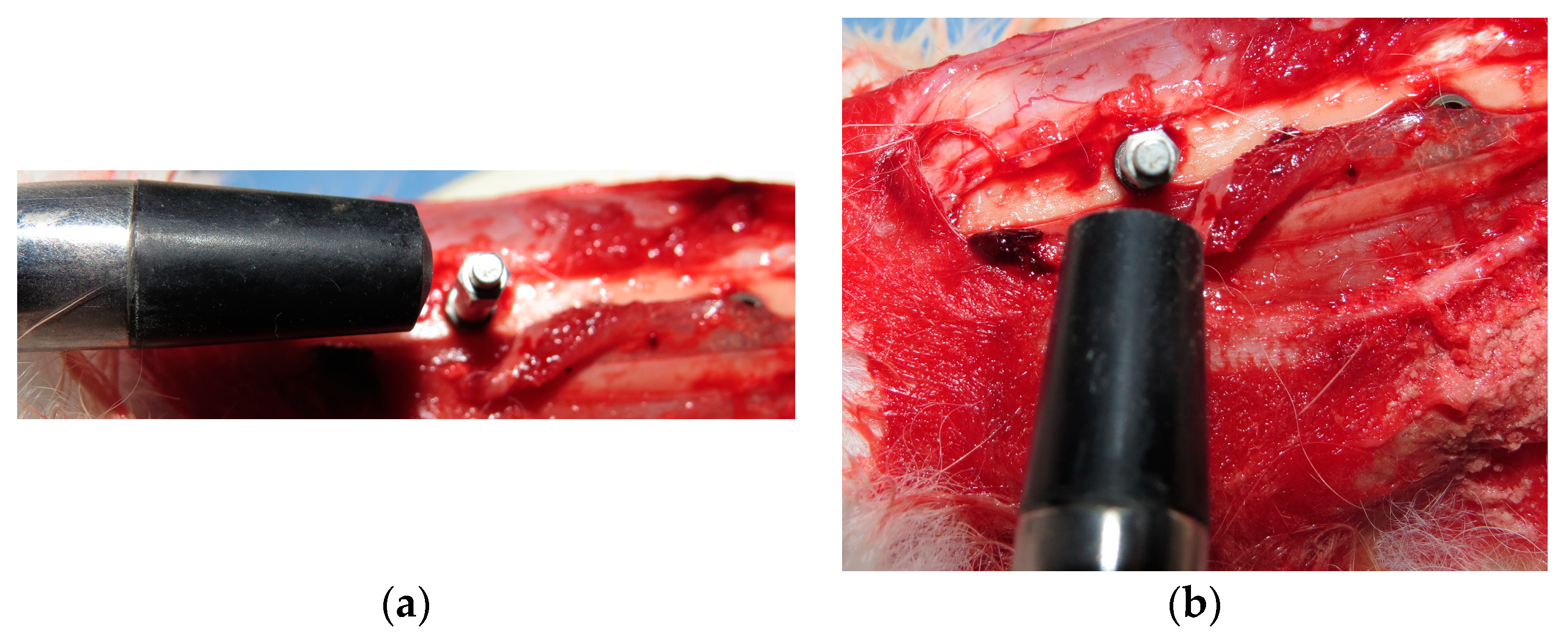 Applsci 09 03181 g006