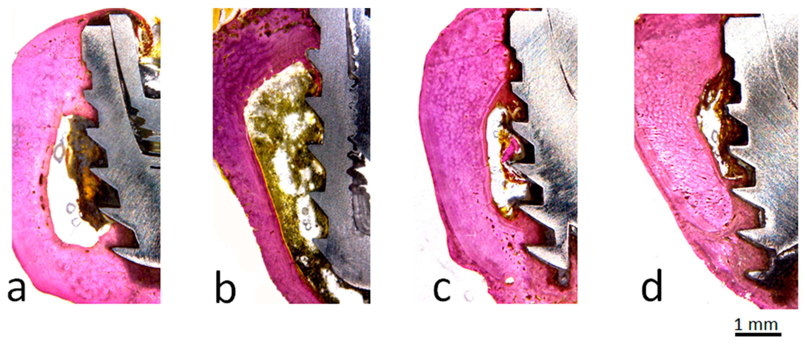 Applsci 09 03181 g011