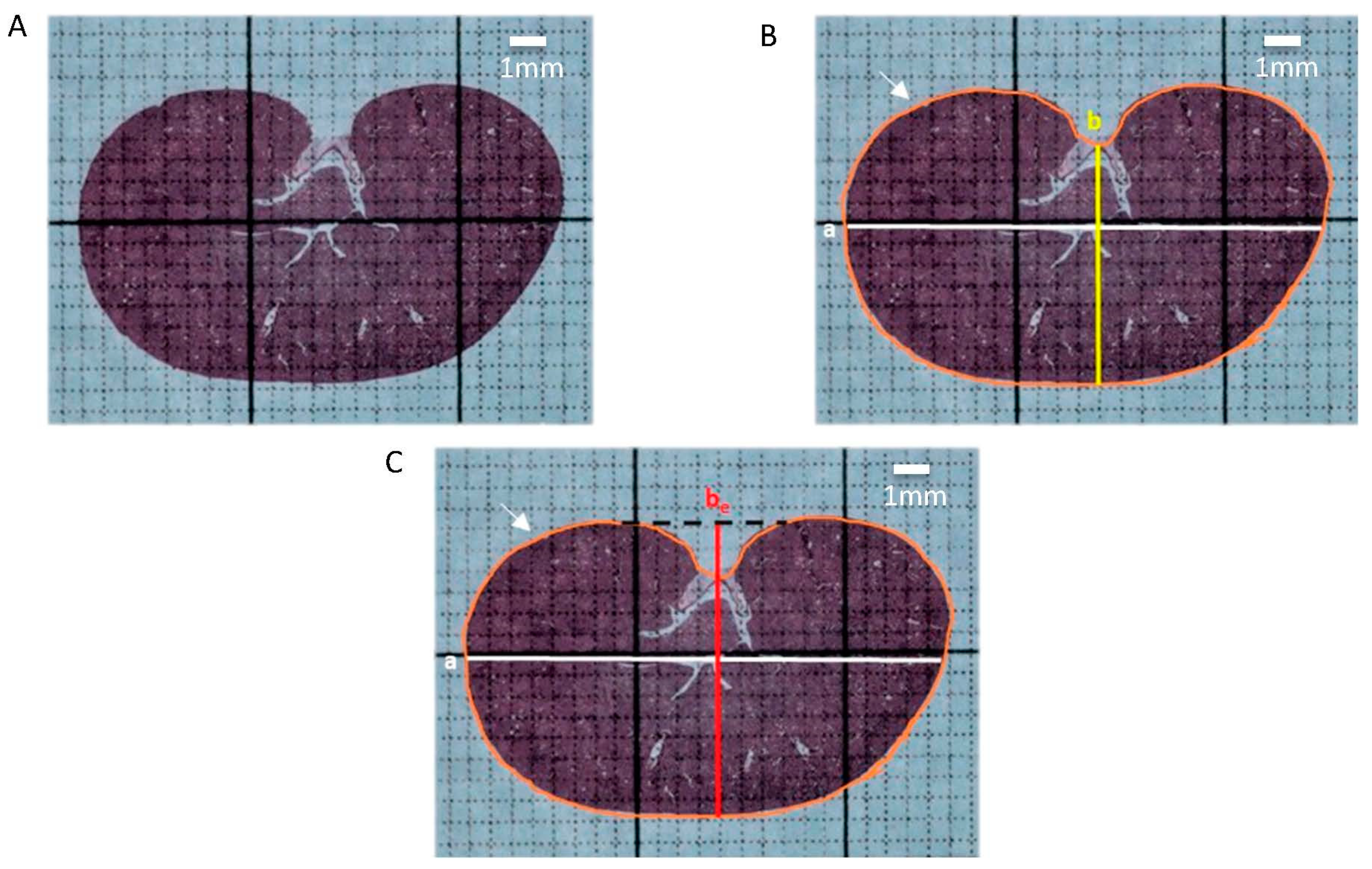 Applied Sciences Free FullText An Improved Method for Estimating