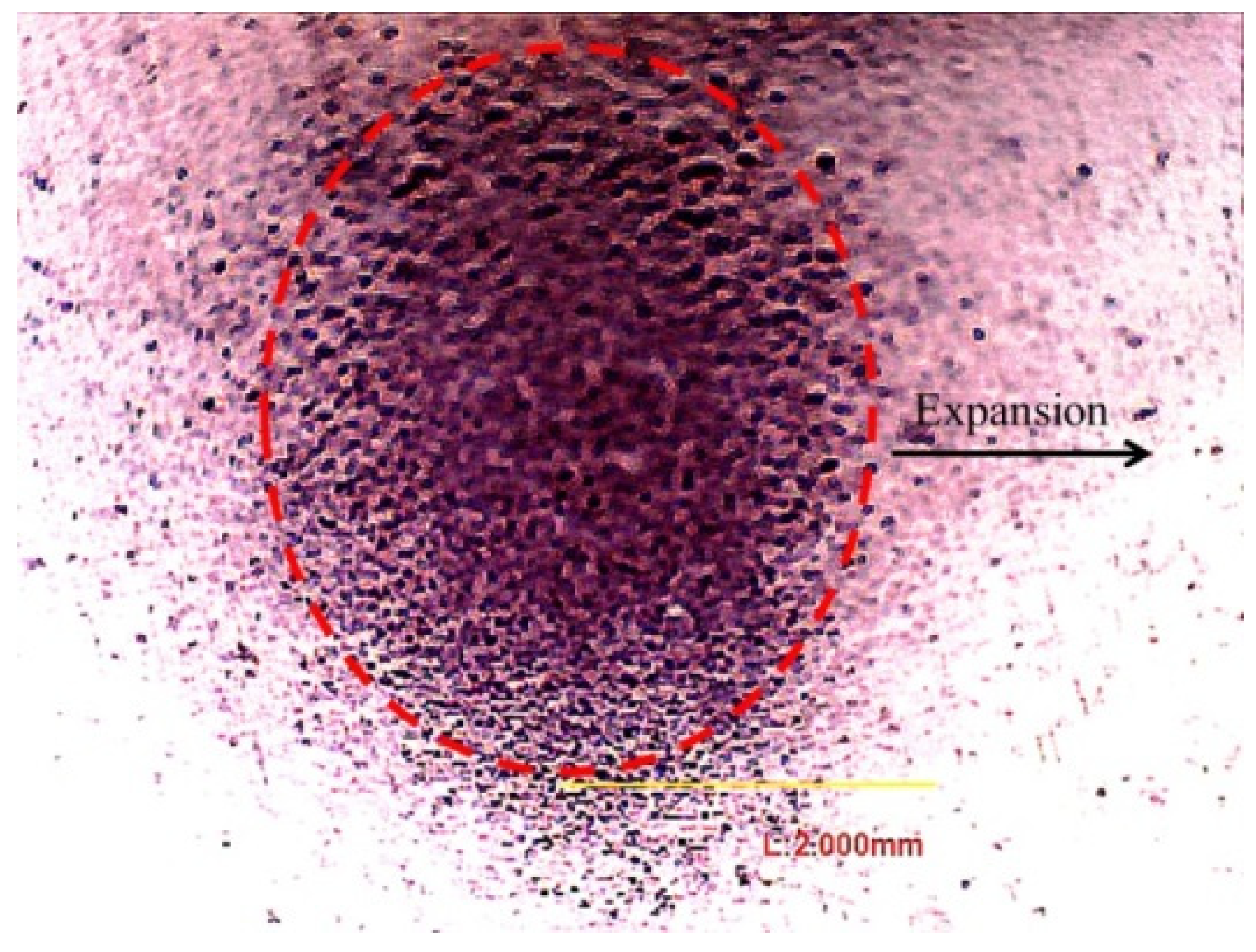 Applsci 09 03235 g009 Applsci 09 03235 g009