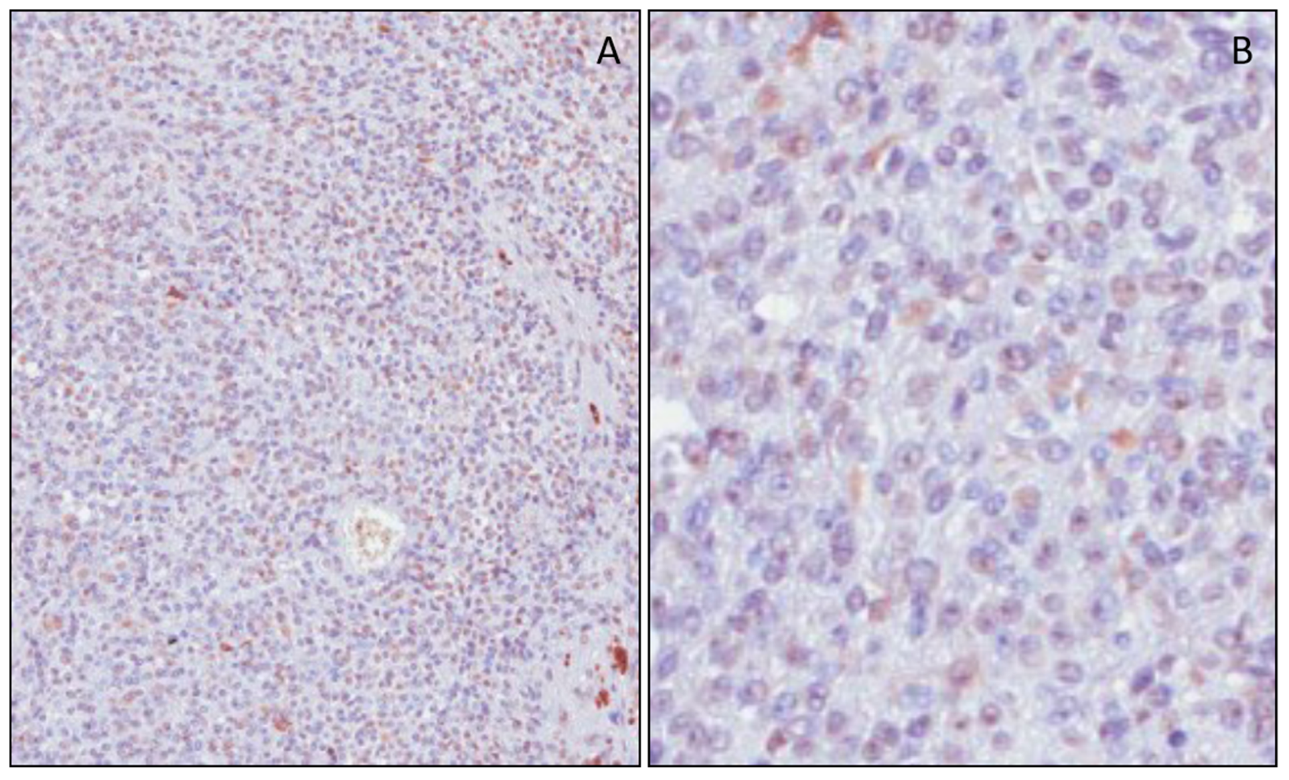 Applsci 09 03244 g001 Applsci 09 03244 g001