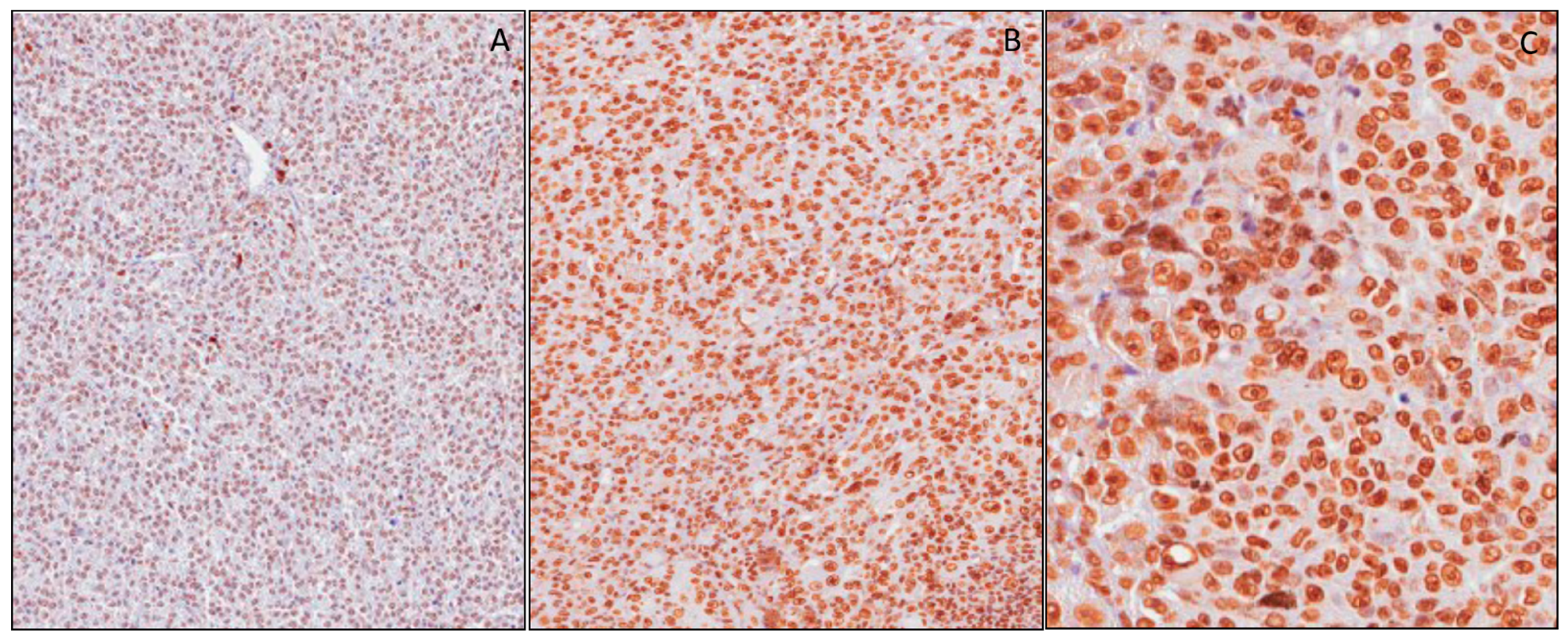 Applsci 09 03244 g002 Applsci 09 03244 g002