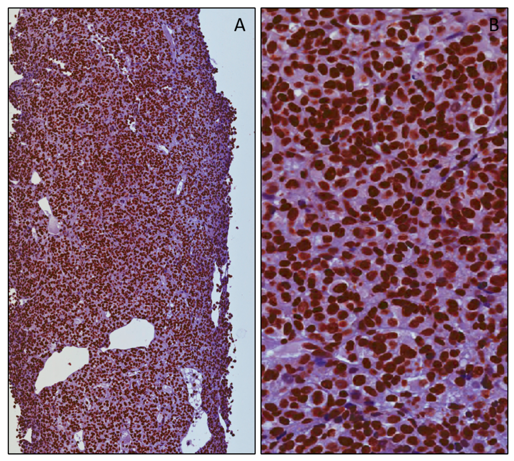 Applsci 09 03244 g003 Applsci 09 03244 g003
