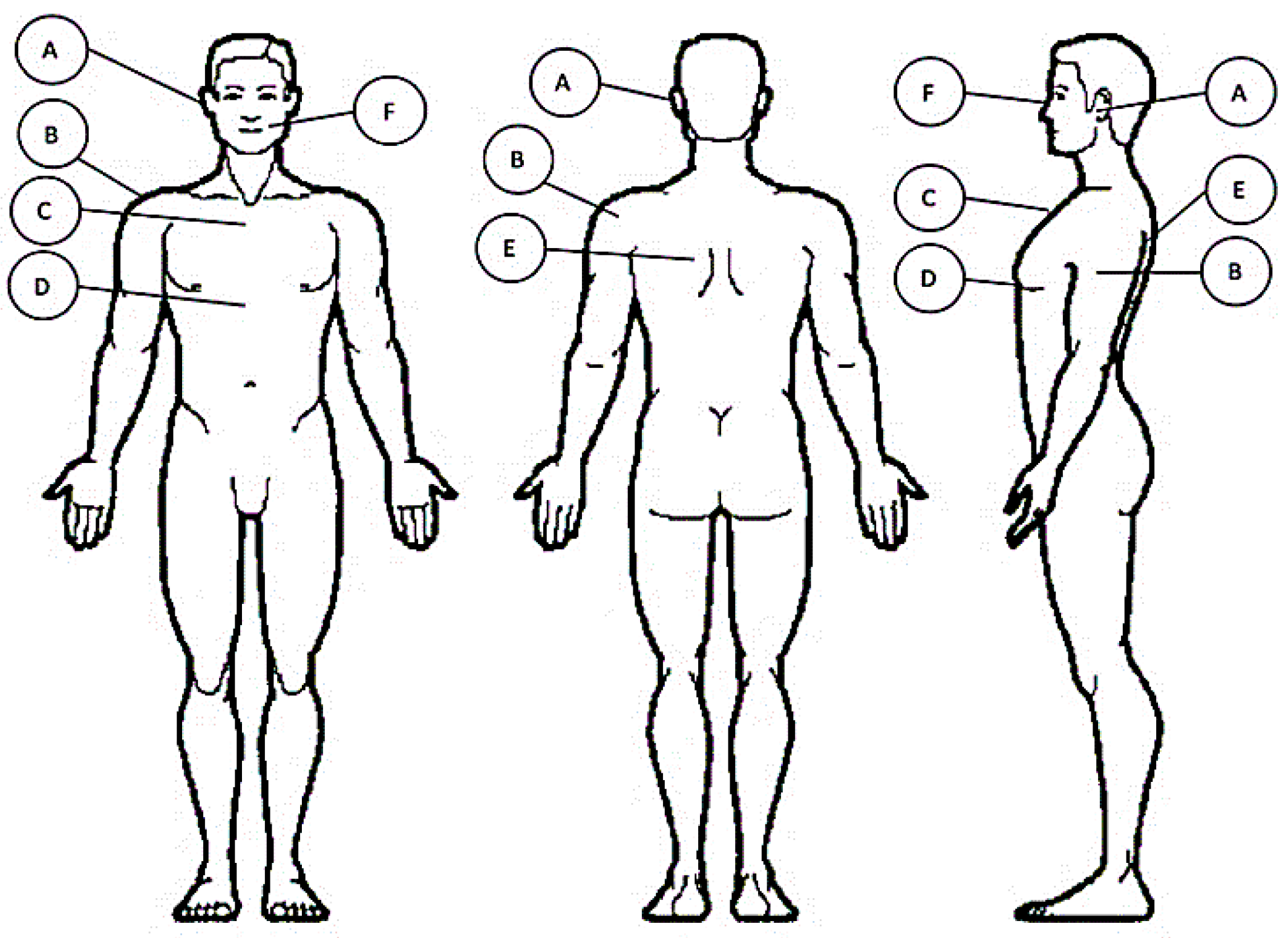 Applsci 09 03303 g003