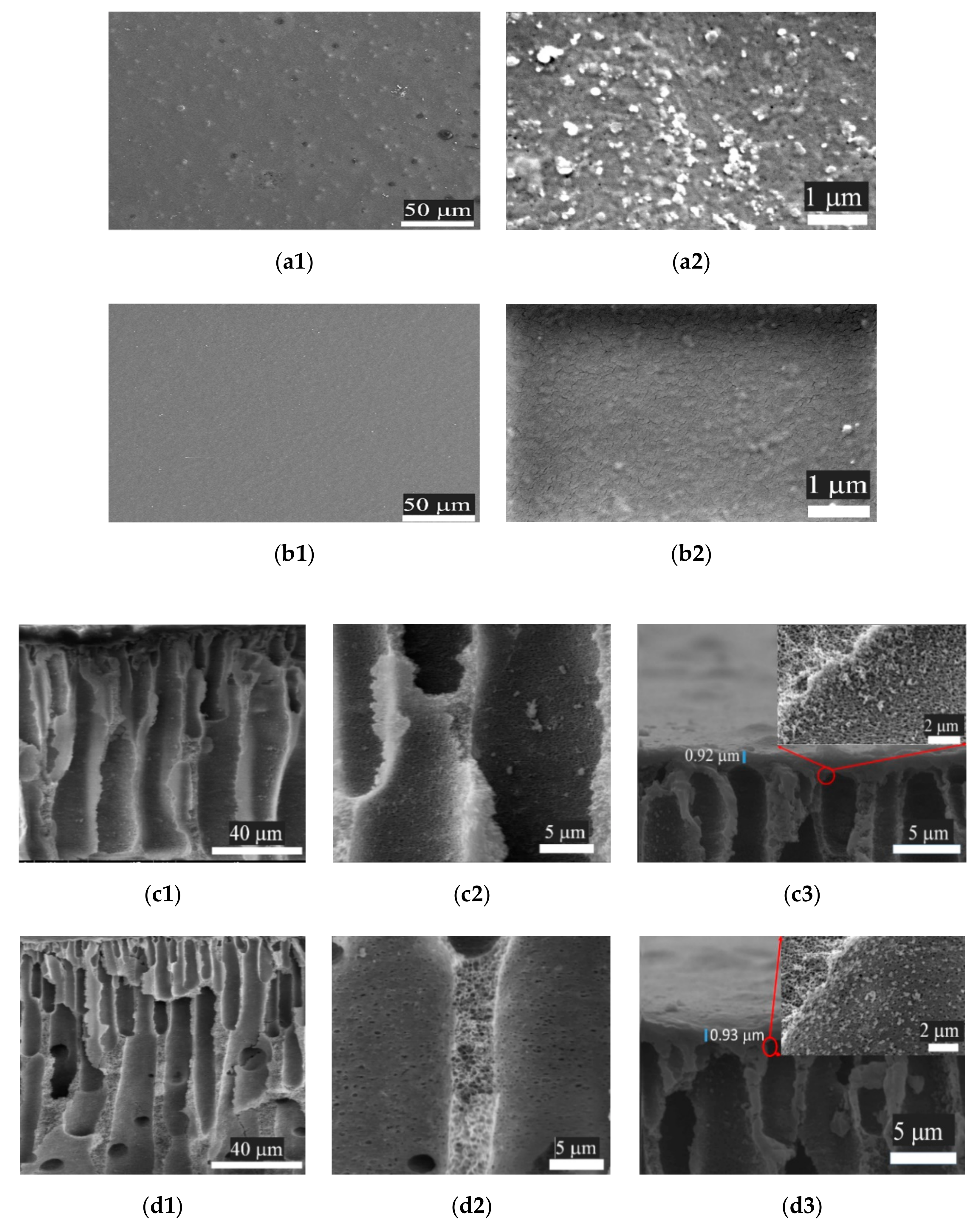Applsci 09 03347 g006 Applsci 09 03347 g006