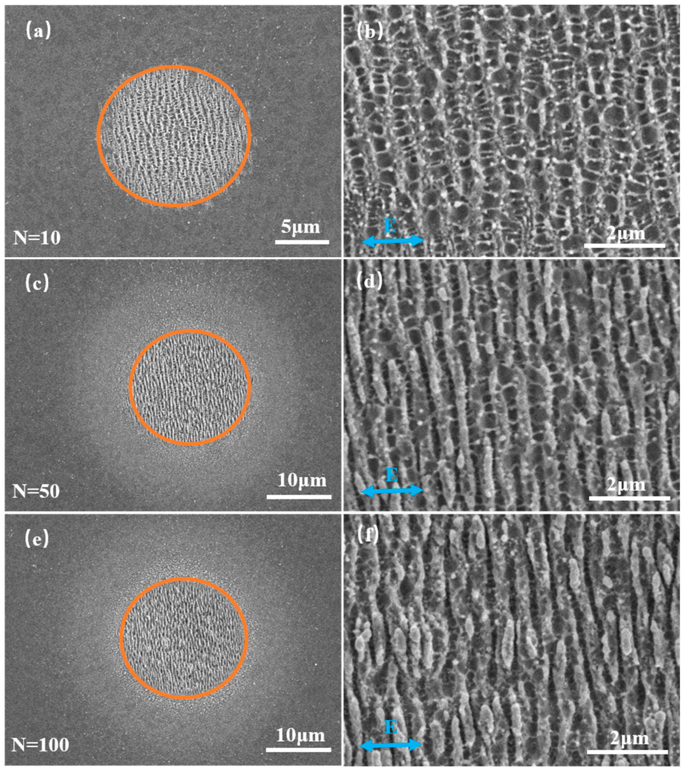 Applsci 09 03401 g002