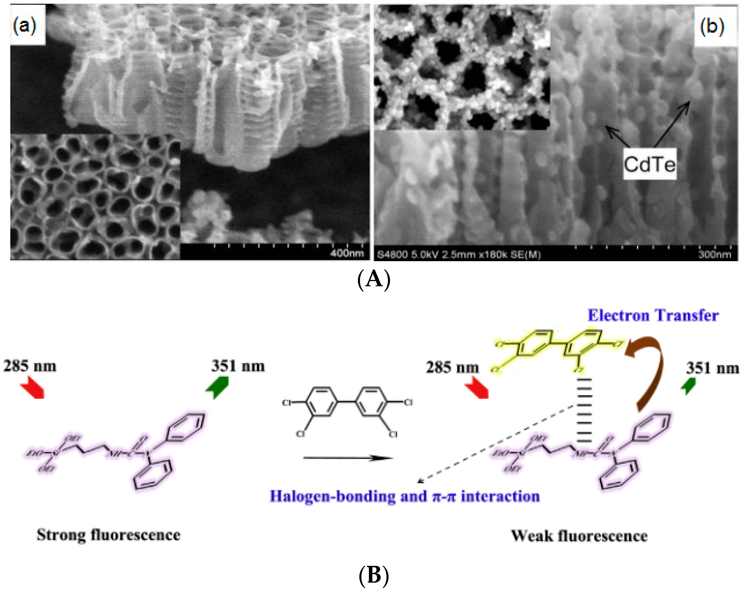 Applsci 09 03439 g006 Applsci 09 03439 g006