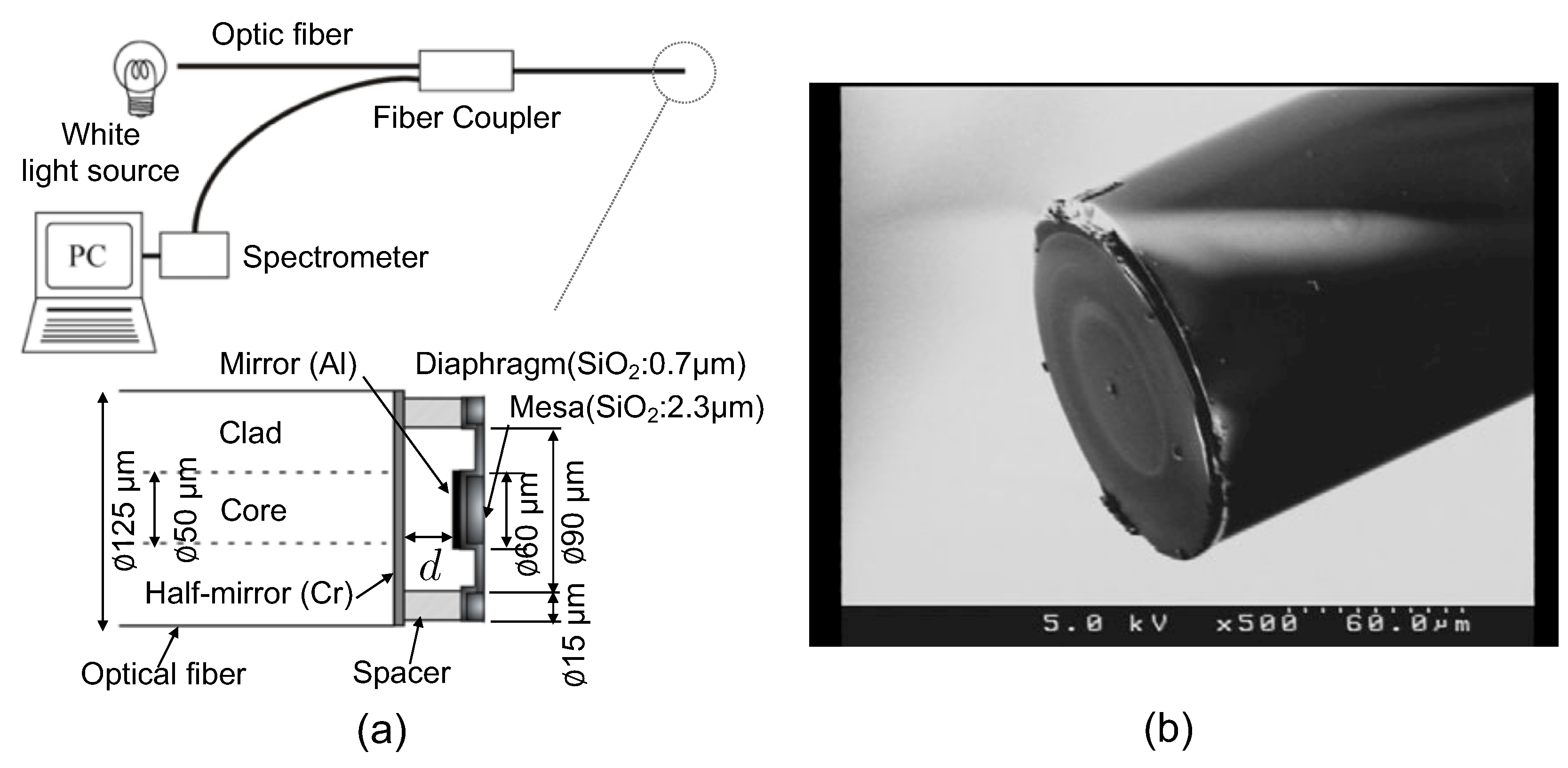 Applsci 09 03454 g001