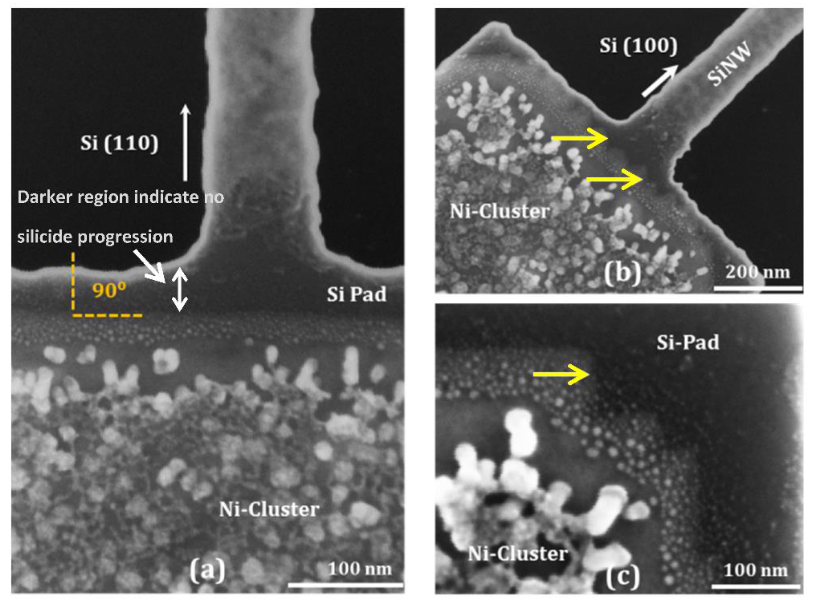 Applsci 09 03462 g001 Applsci 09 03462 g001