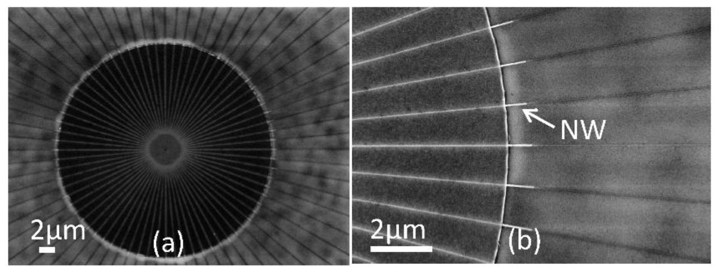 Applsci 09 03462 g005 Applsci 09 03462 g005