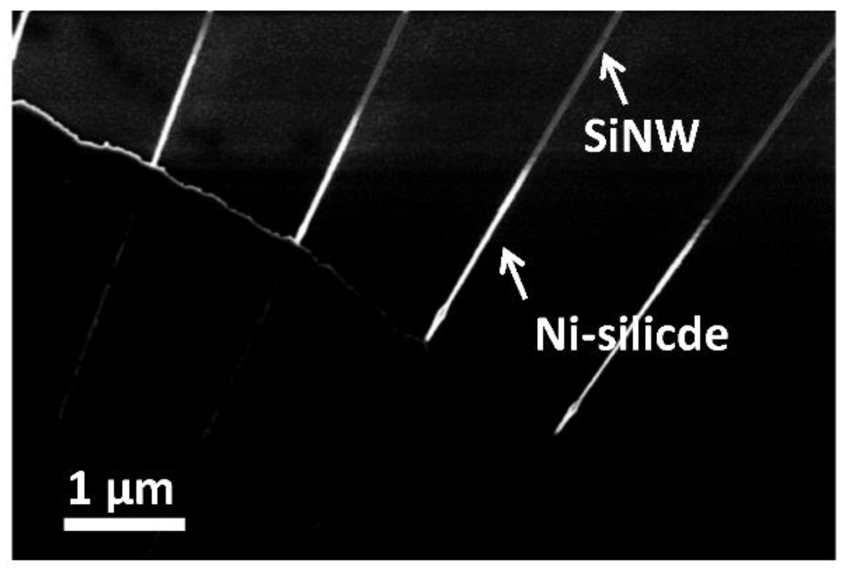 Applsci 09 03462 g008 Applsci 09 03462 g008