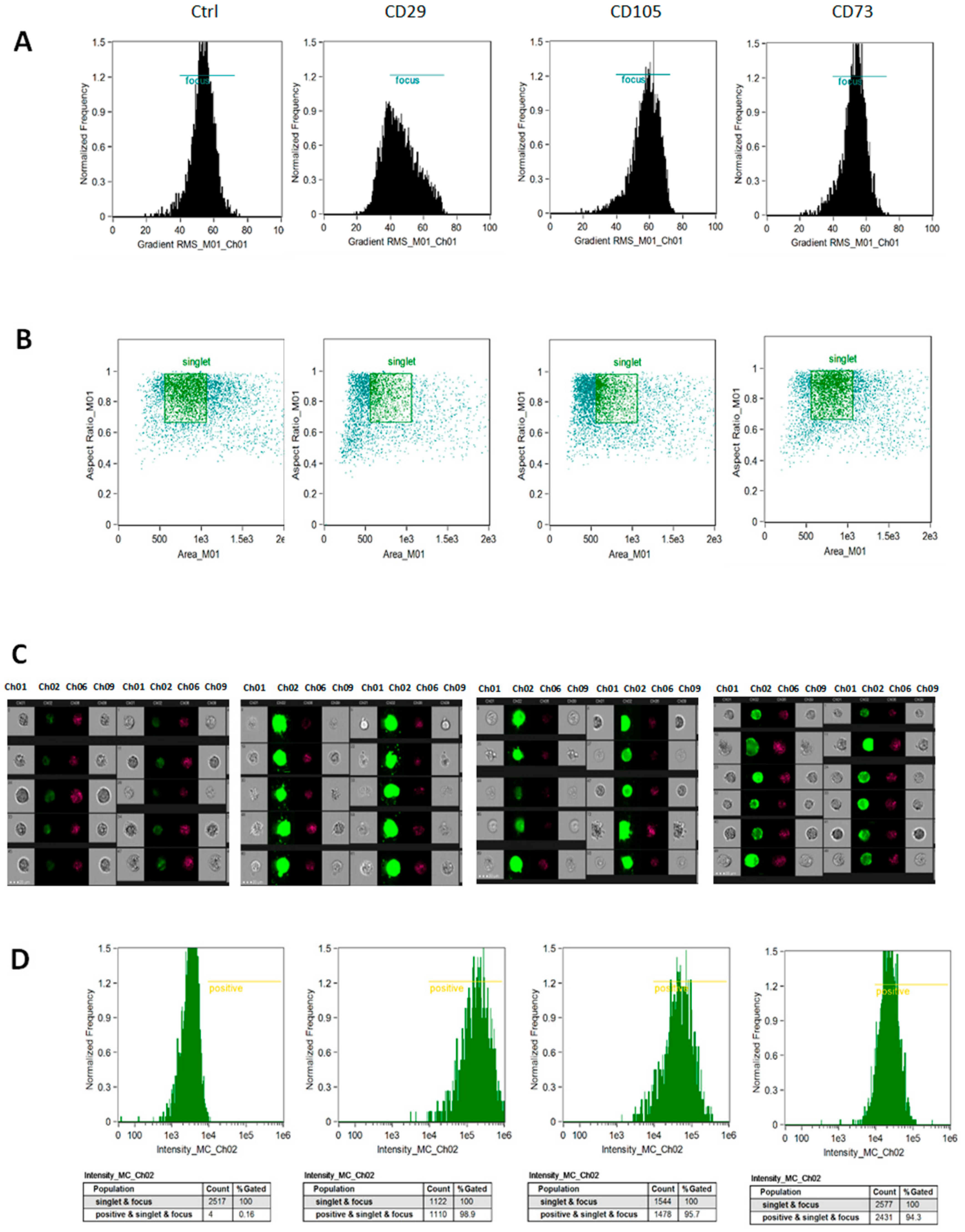 Applsci 09 03471 g002 Applsci 09 03471 g002