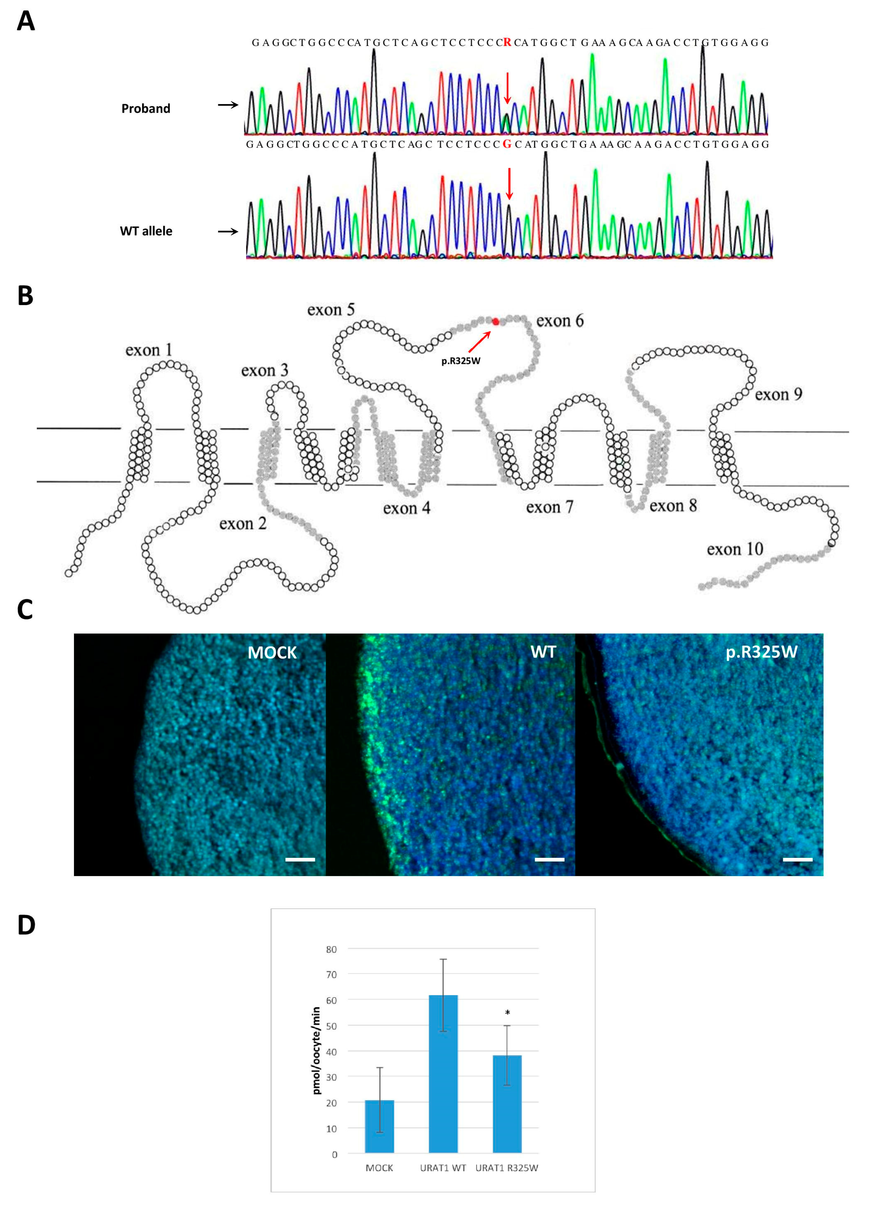 Applsci 09 03479 g001