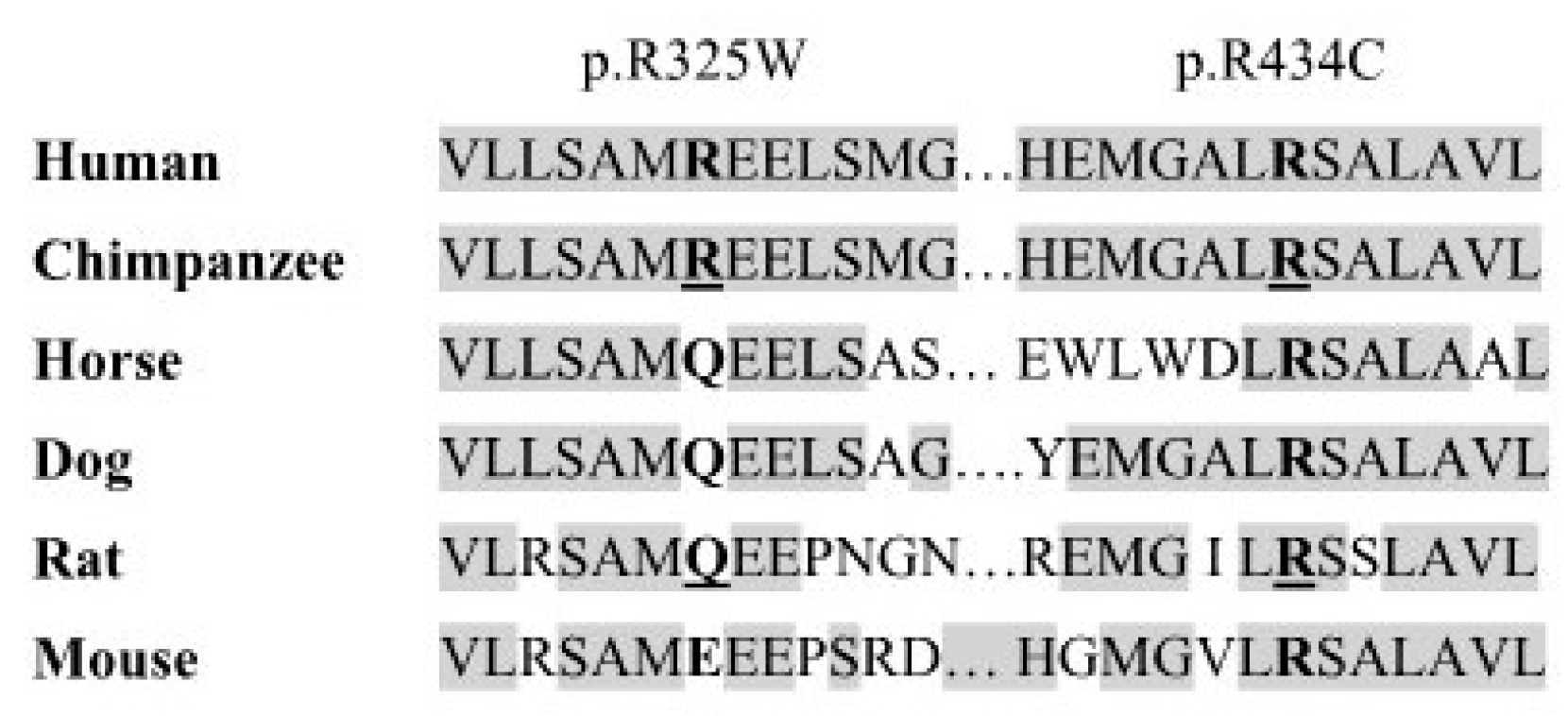 Applsci 09 03479 g002