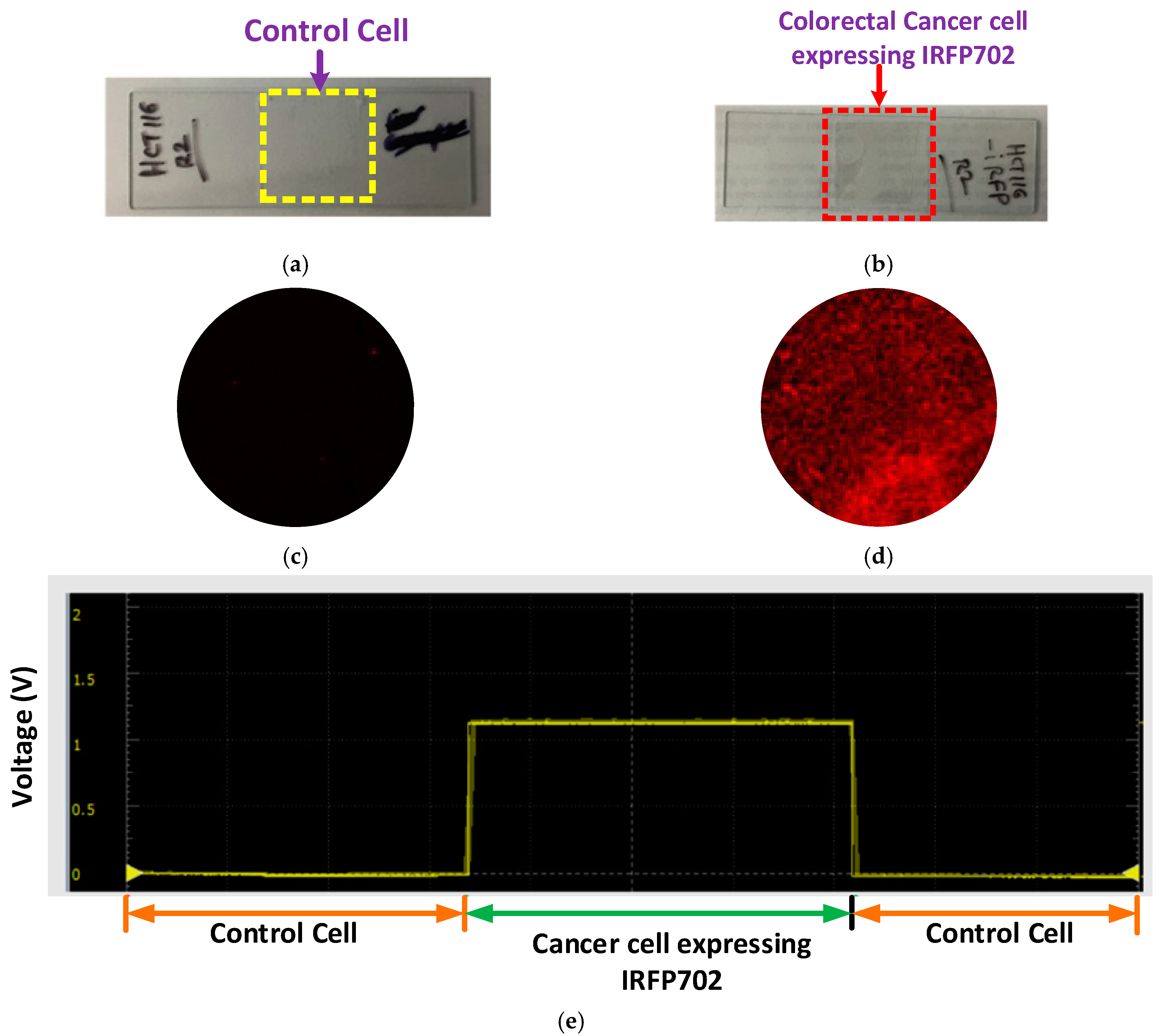 Applsci 09 03510 g007