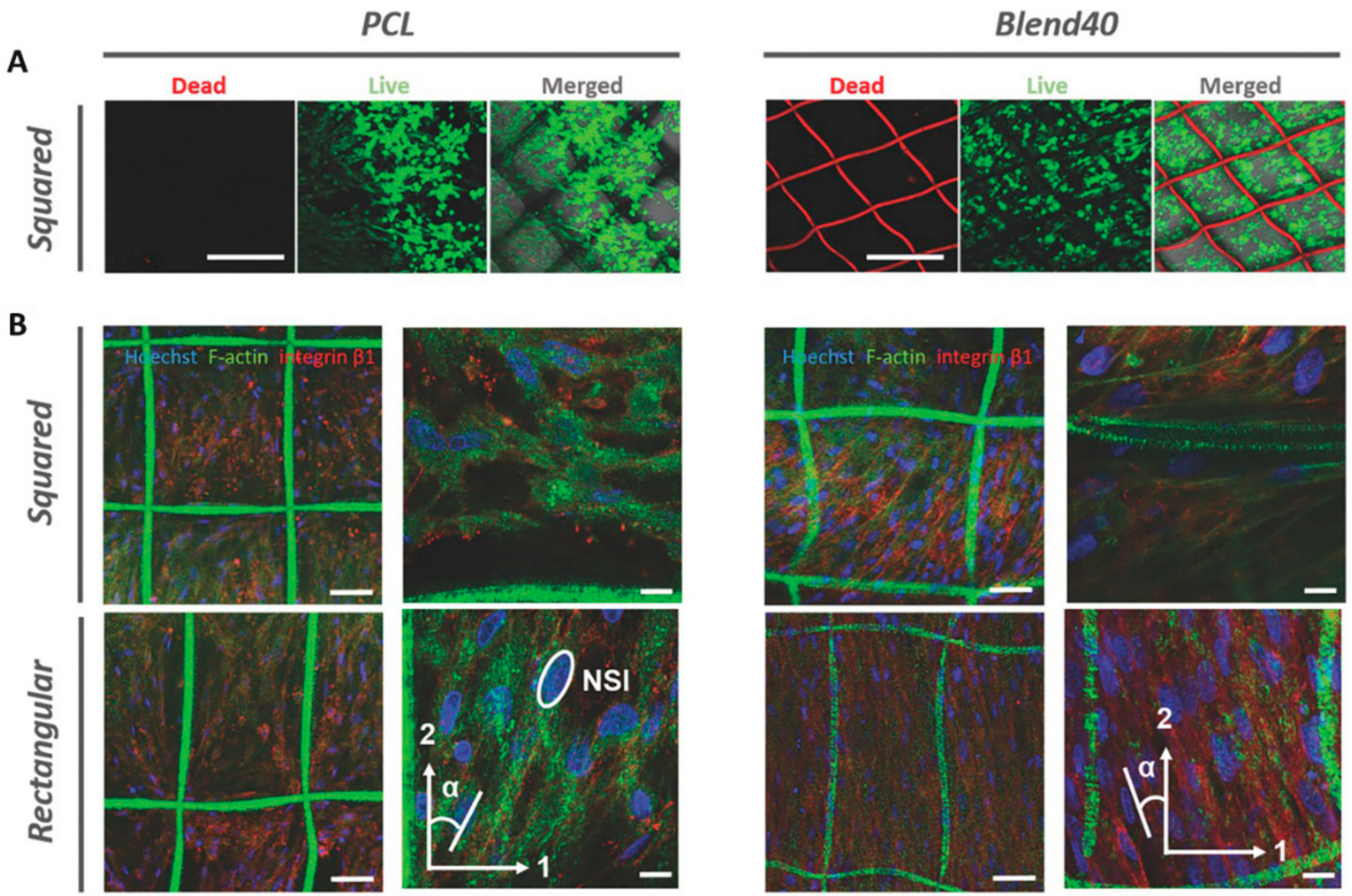Applsci 09 03540 g006 Applsci 09 03540 g006