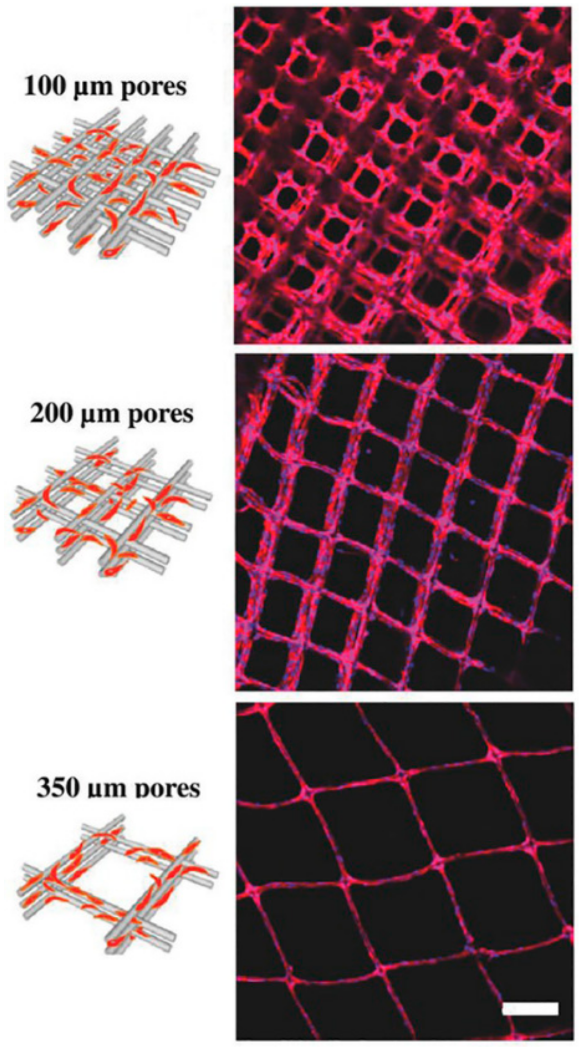 Applsci 09 03540 g007 Applsci 09 03540 g007