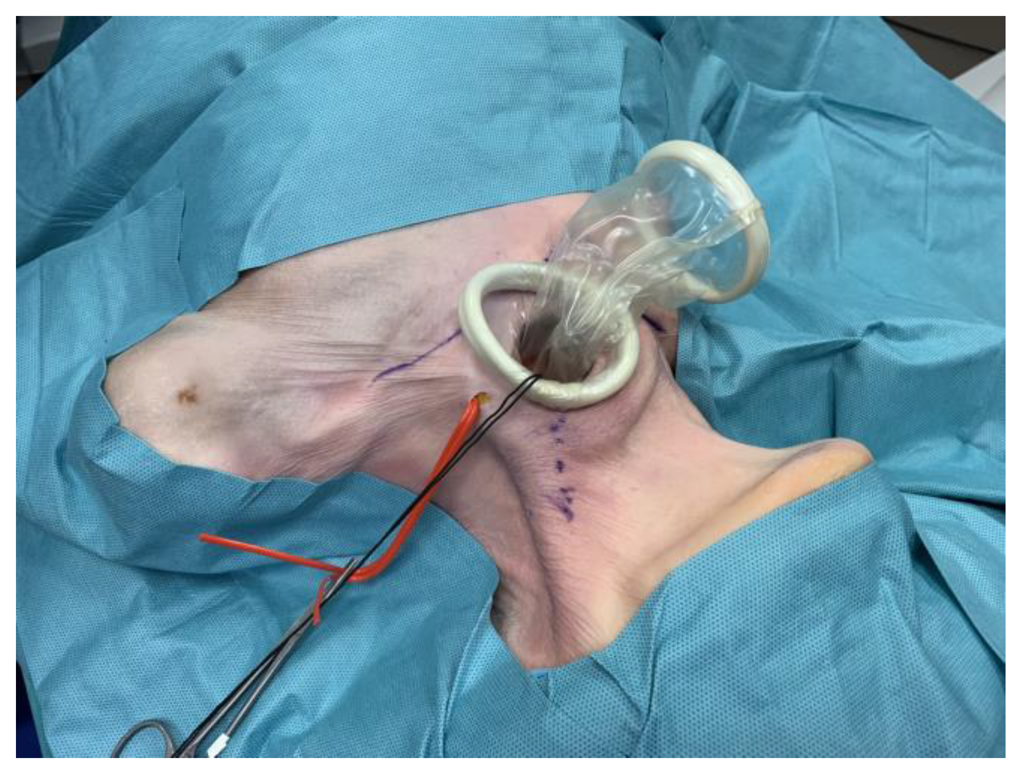 Applsci 09 03572 g001