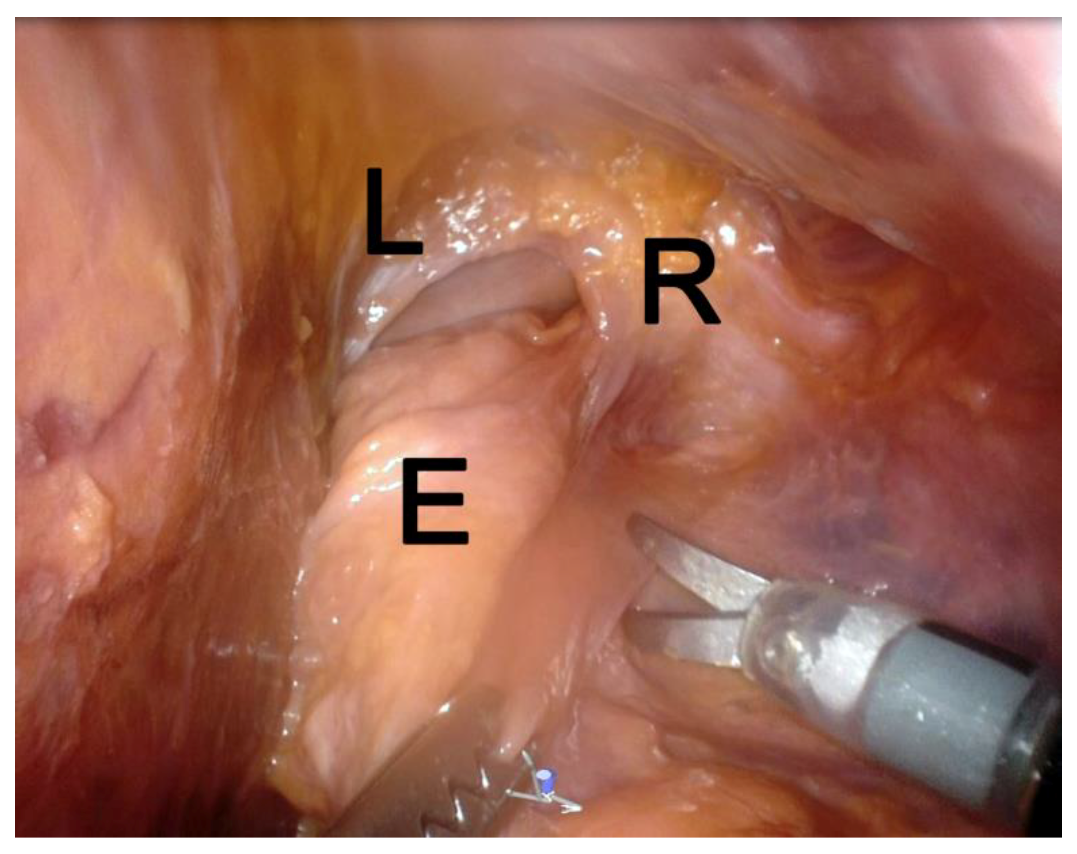 Applsci 09 03572 g006