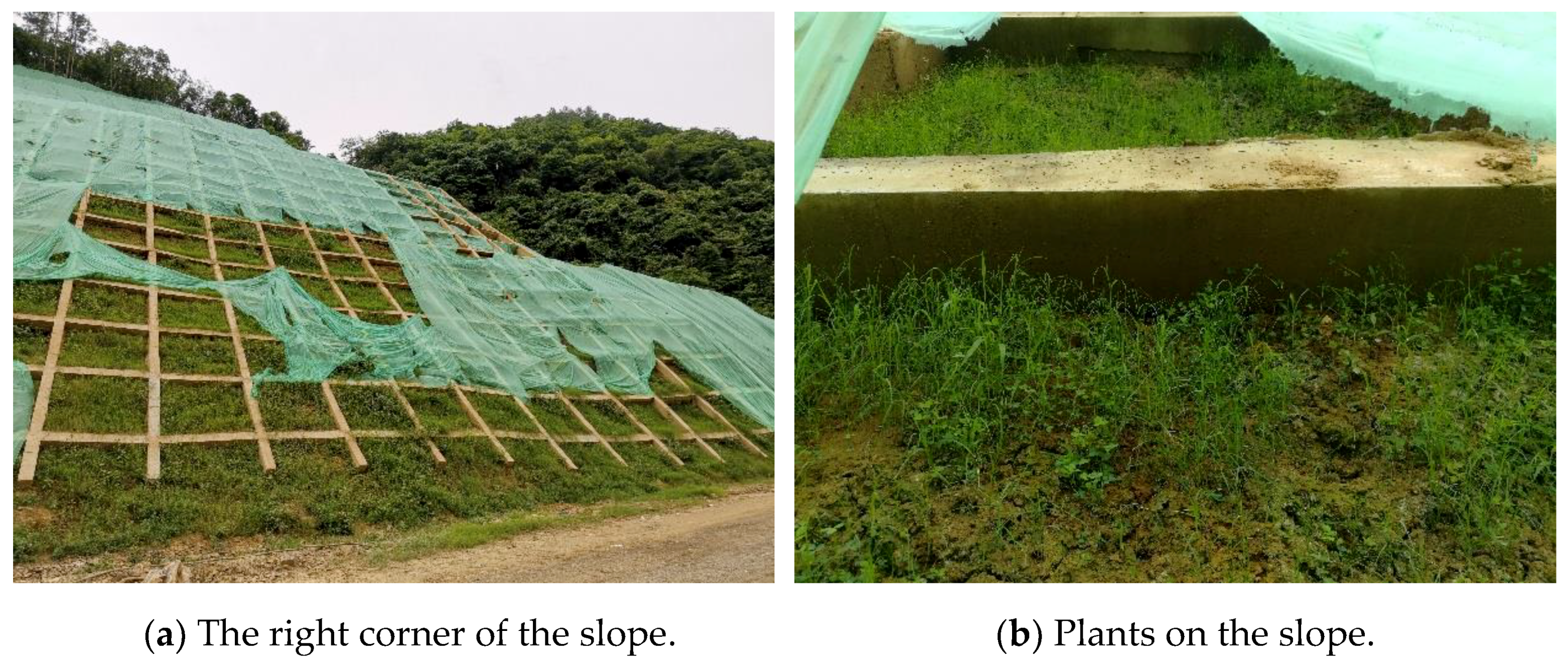 Applsci 09 03618 g017 550