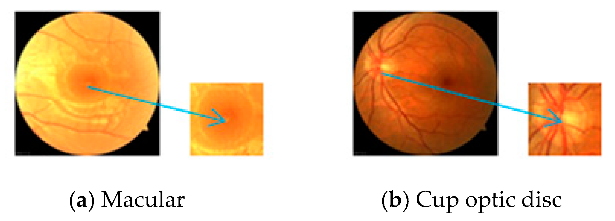 Applsci 09 03669 g006