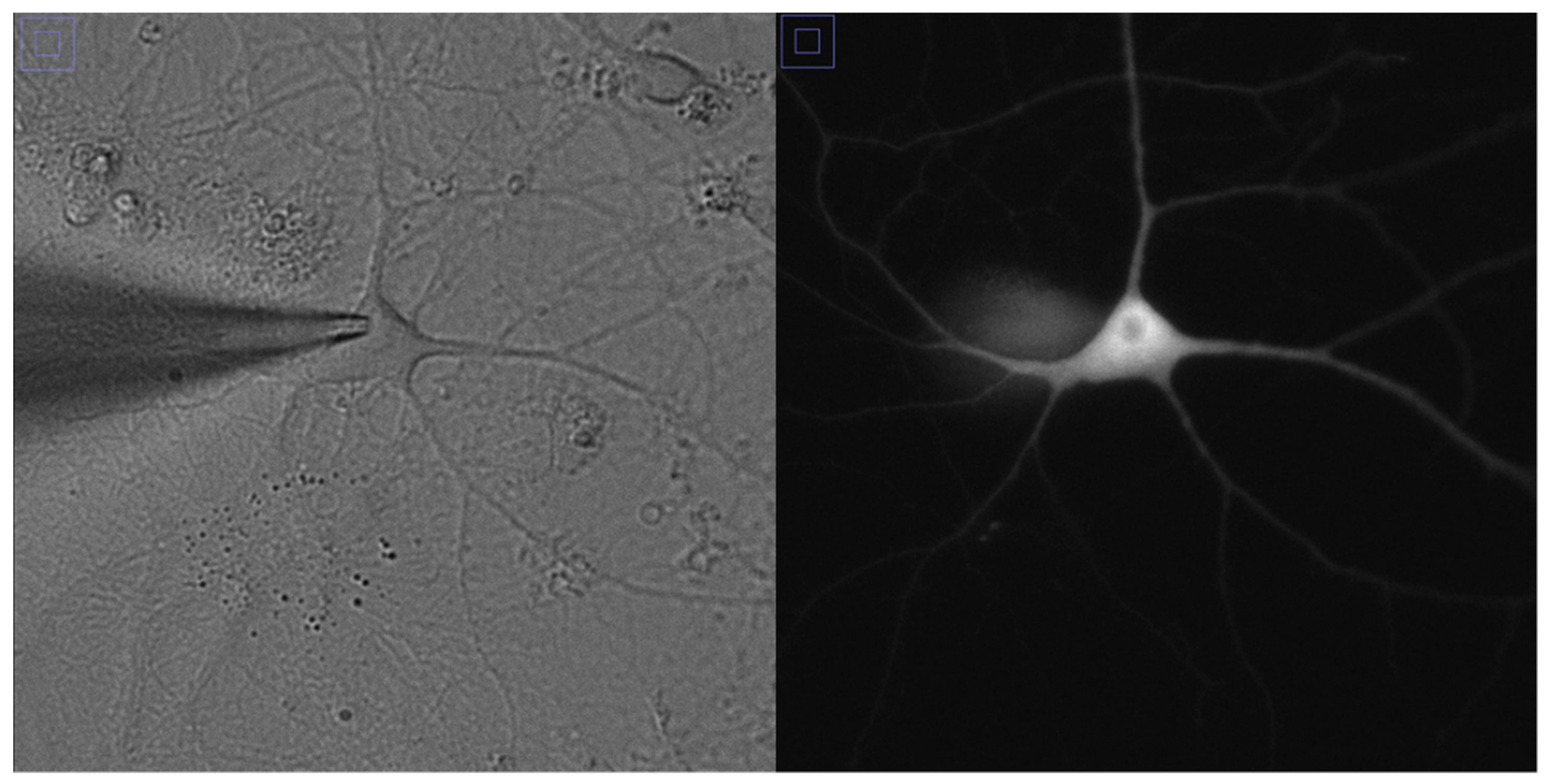 Applsci 09 03673 g001