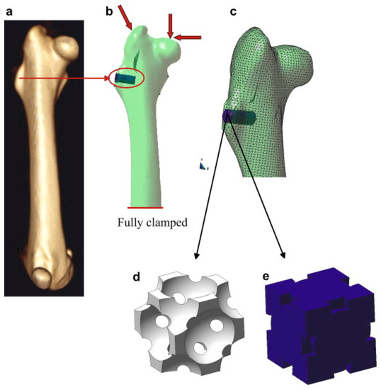 Applied Sciences Special Issue Biomaterials for Bone Tissue Engineering