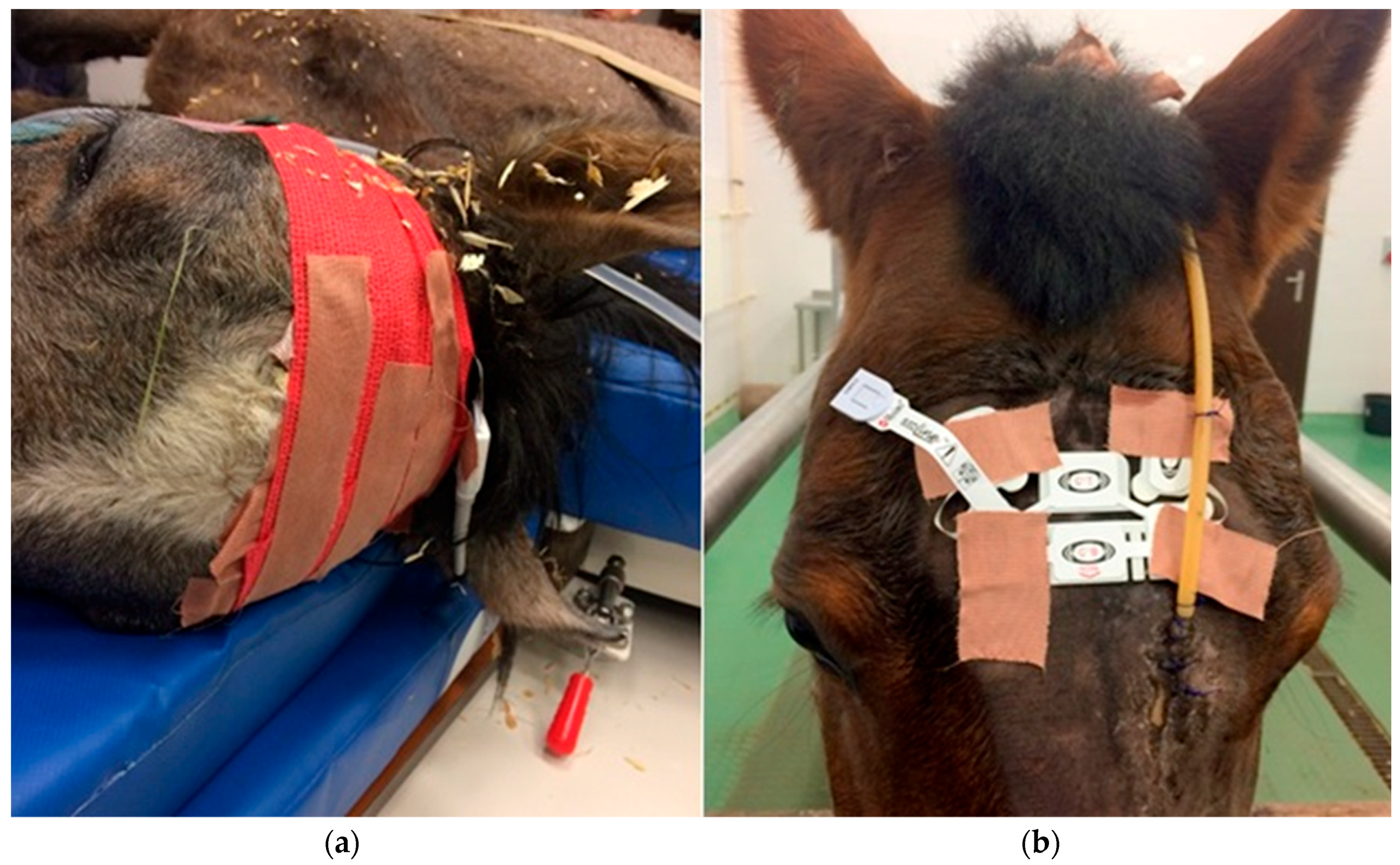 Applsci 09 03678 g001