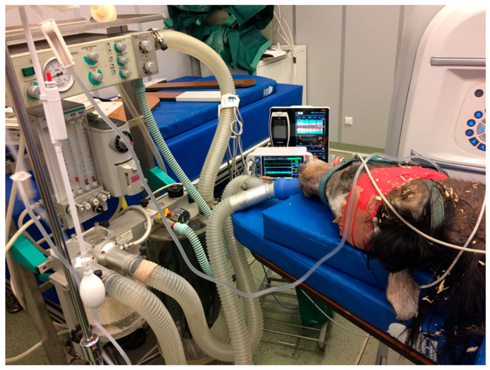 eeg procedure eeg procedure