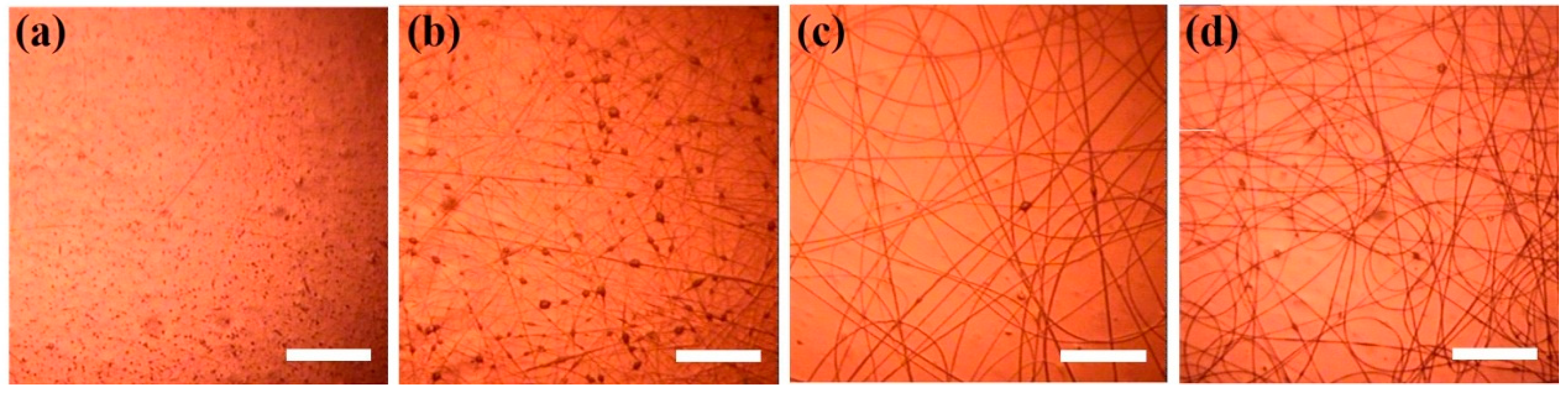 Applsci 09 03683 g002 550