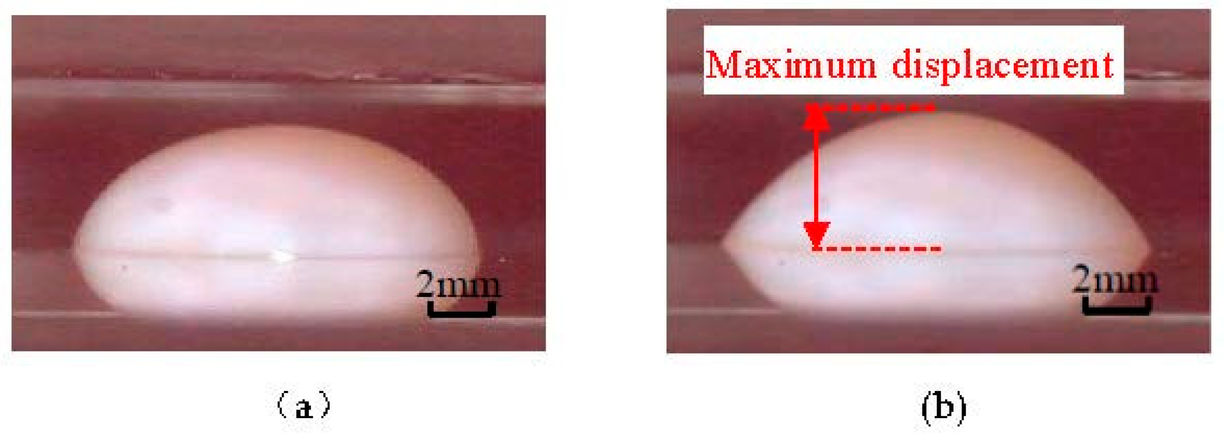 Applsci 09 03704 g009 550