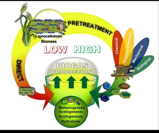 Applied Sciences Free Full Text Insight Into Pretreatment Methods Of Lignocellulosic Biomass To Increase Biogas Yield Current State Challenges And Opportunities Html