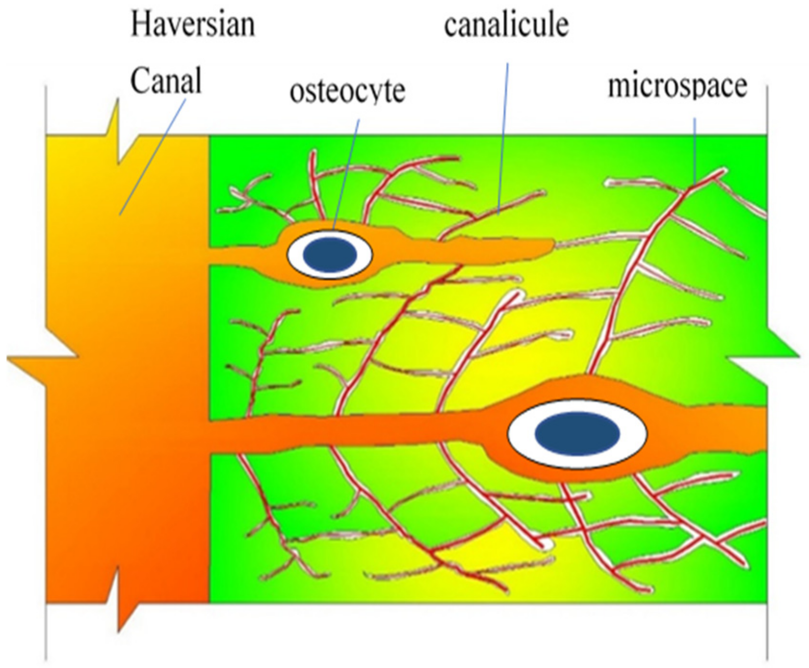 Applsci 09 03726 g004