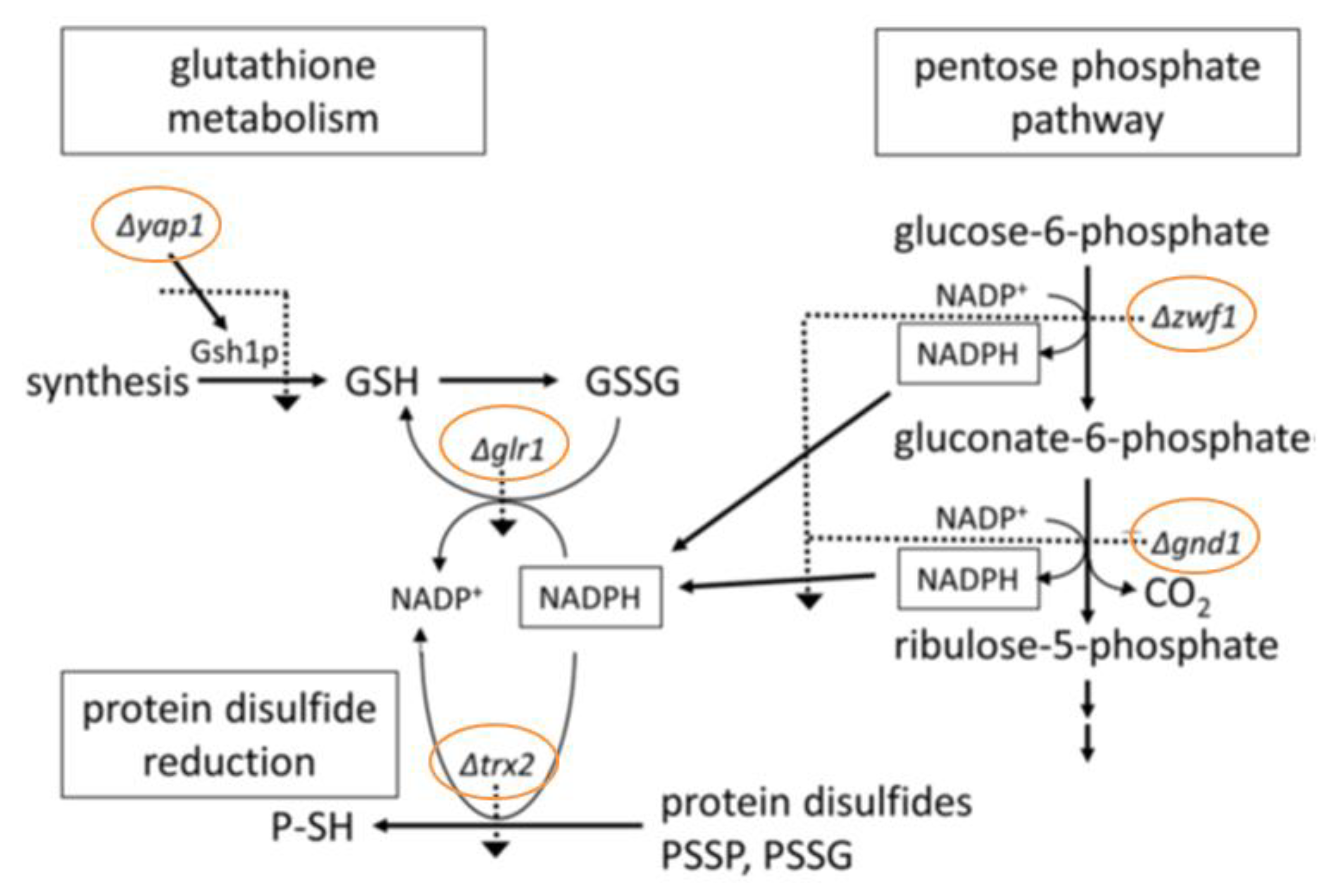 Applsci 09 03728 g005