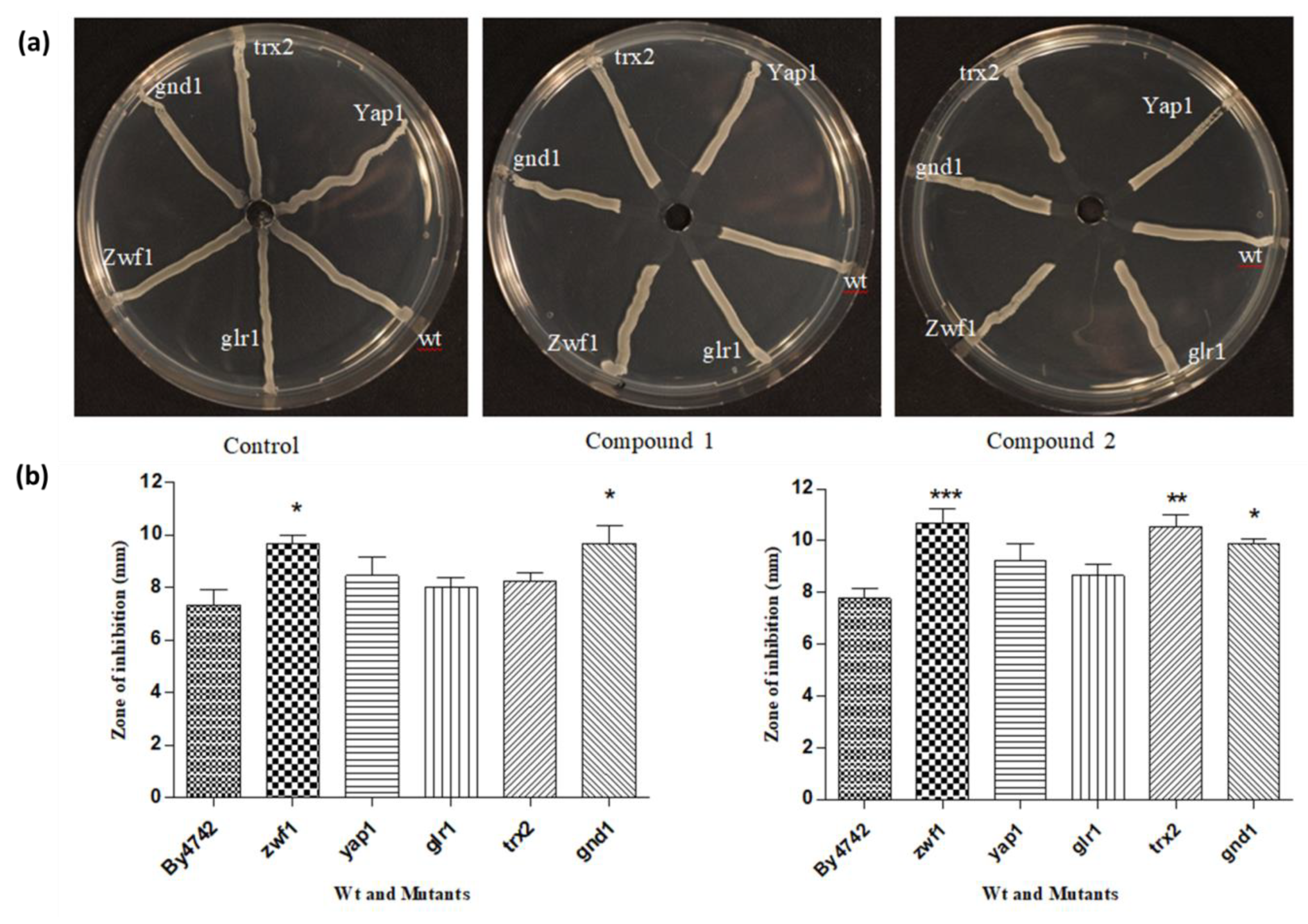 Applsci 09 03728 g007
