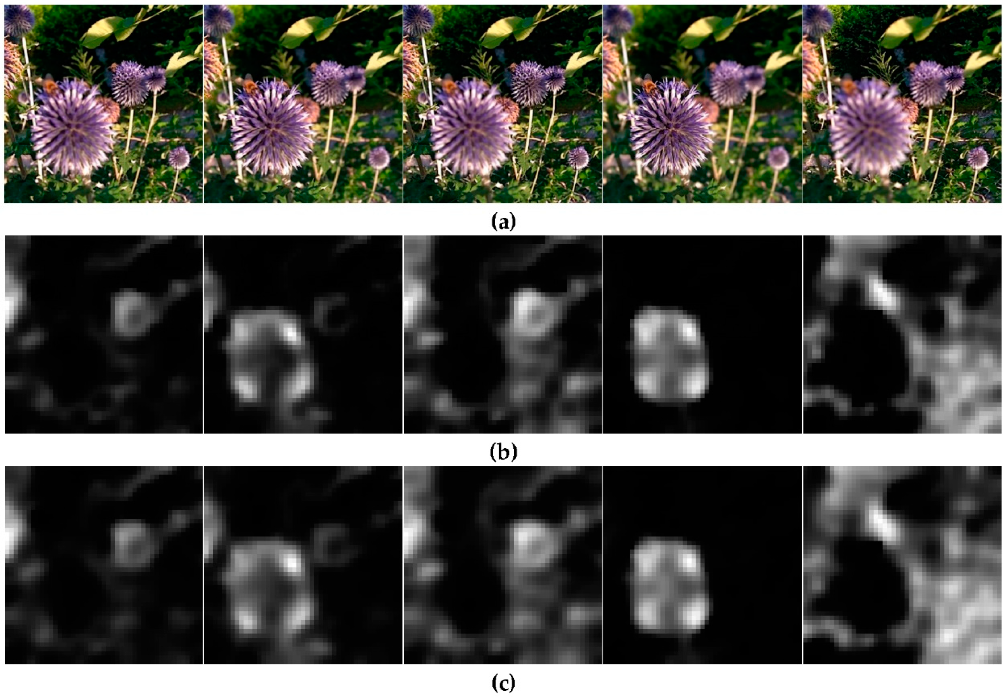 Applsci 09 03752 g011