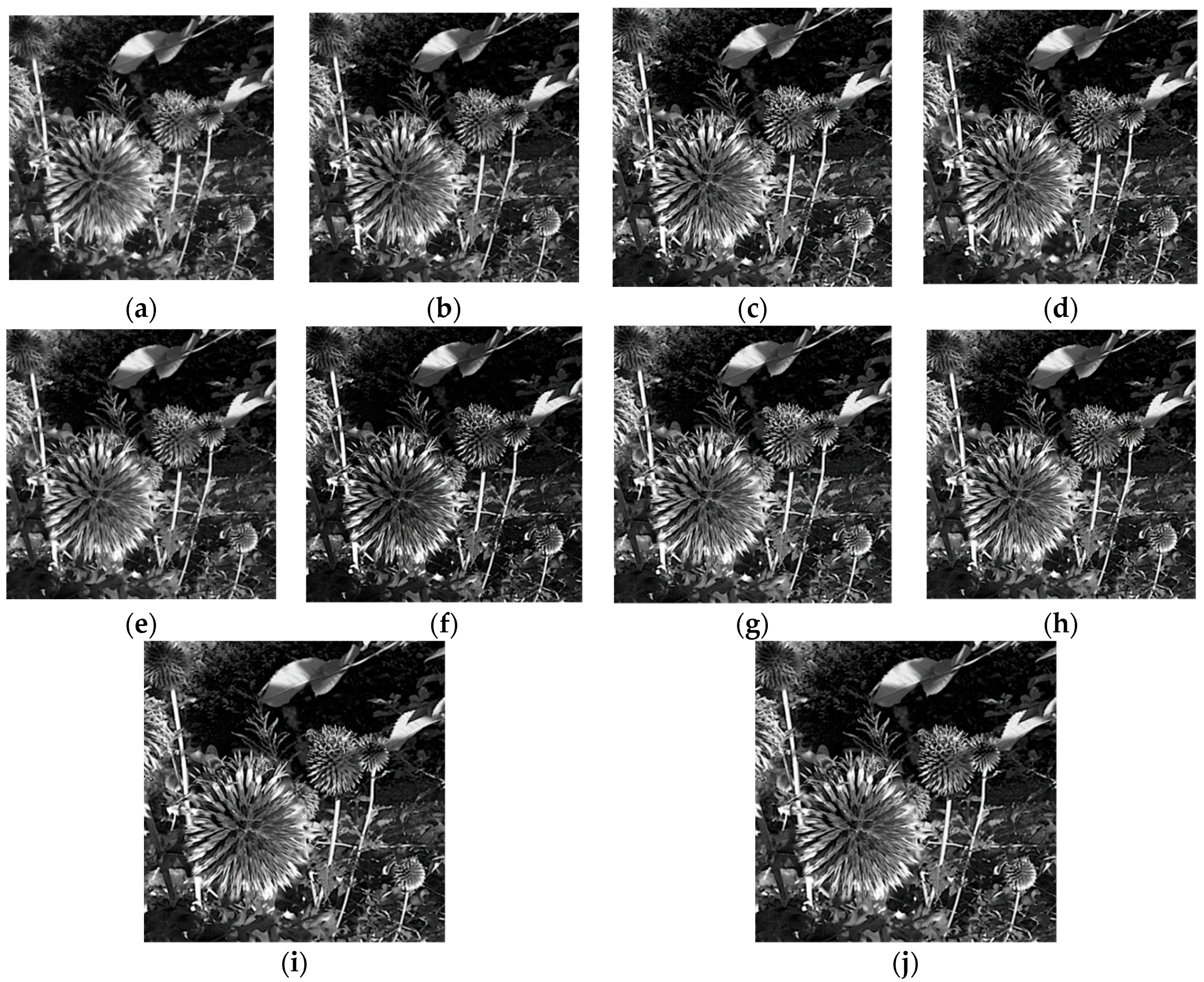 Applsci 09 03752 g016